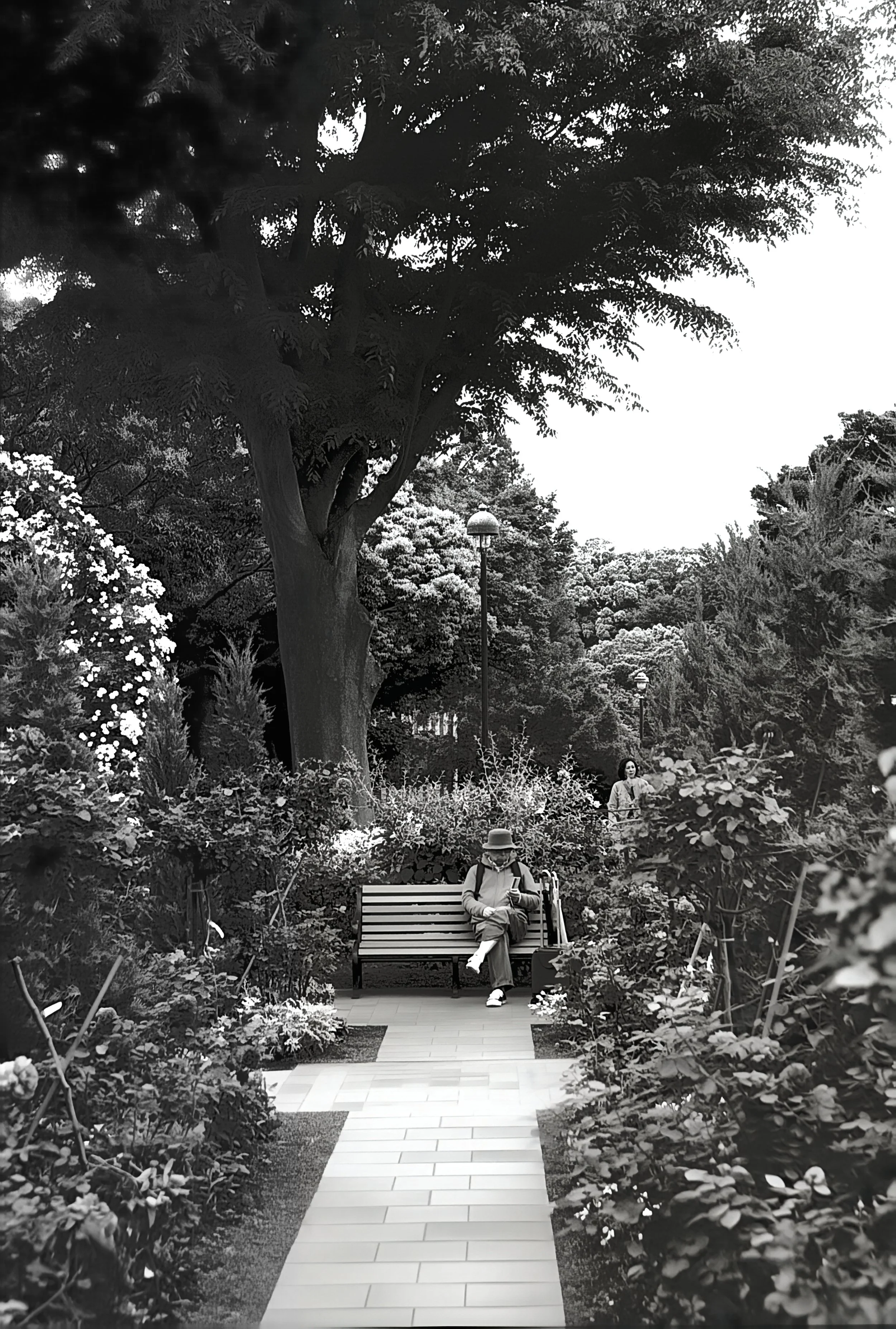 QR  171553Yoko Garden Bench  Rollei RPX 100 copy.jpeg