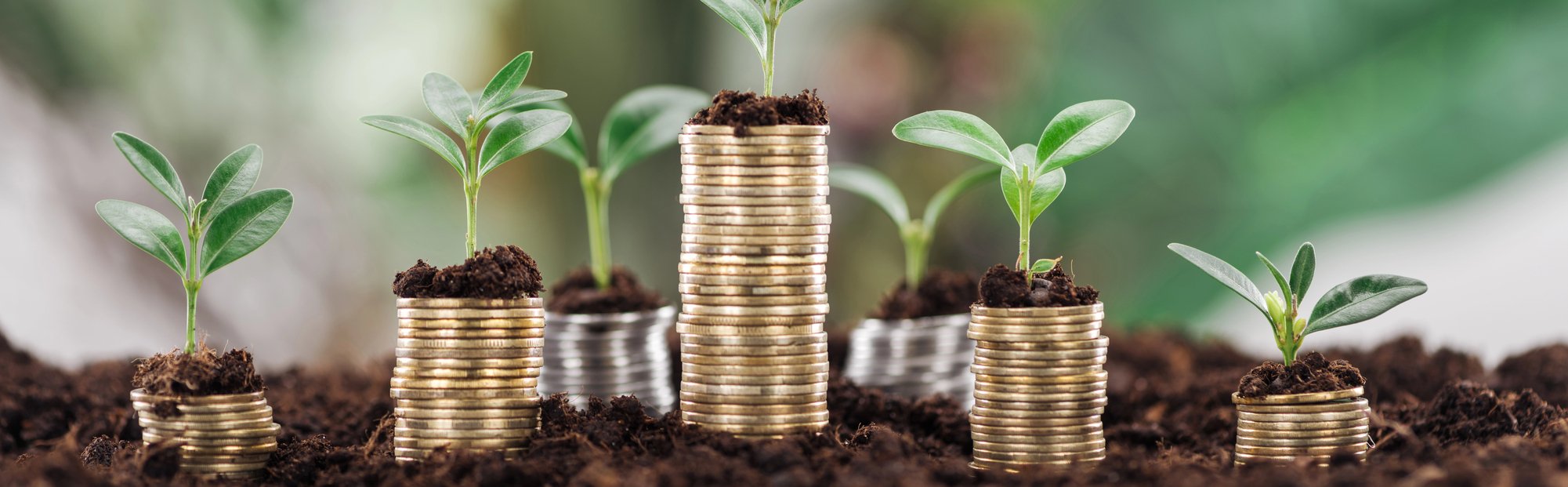 Financial Wellness During Family Transitions: Budgeting, Planning, and Reducing Stress