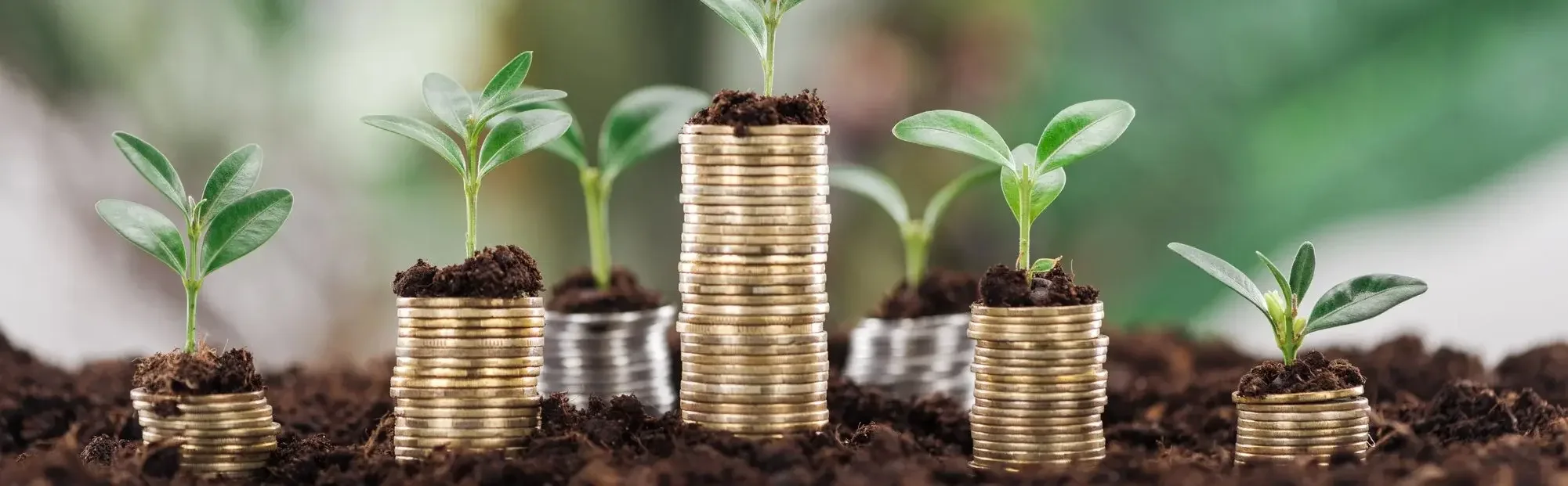 Financial Wellness During Family Transitions: Budgeting, Planning, and Reducing Stress