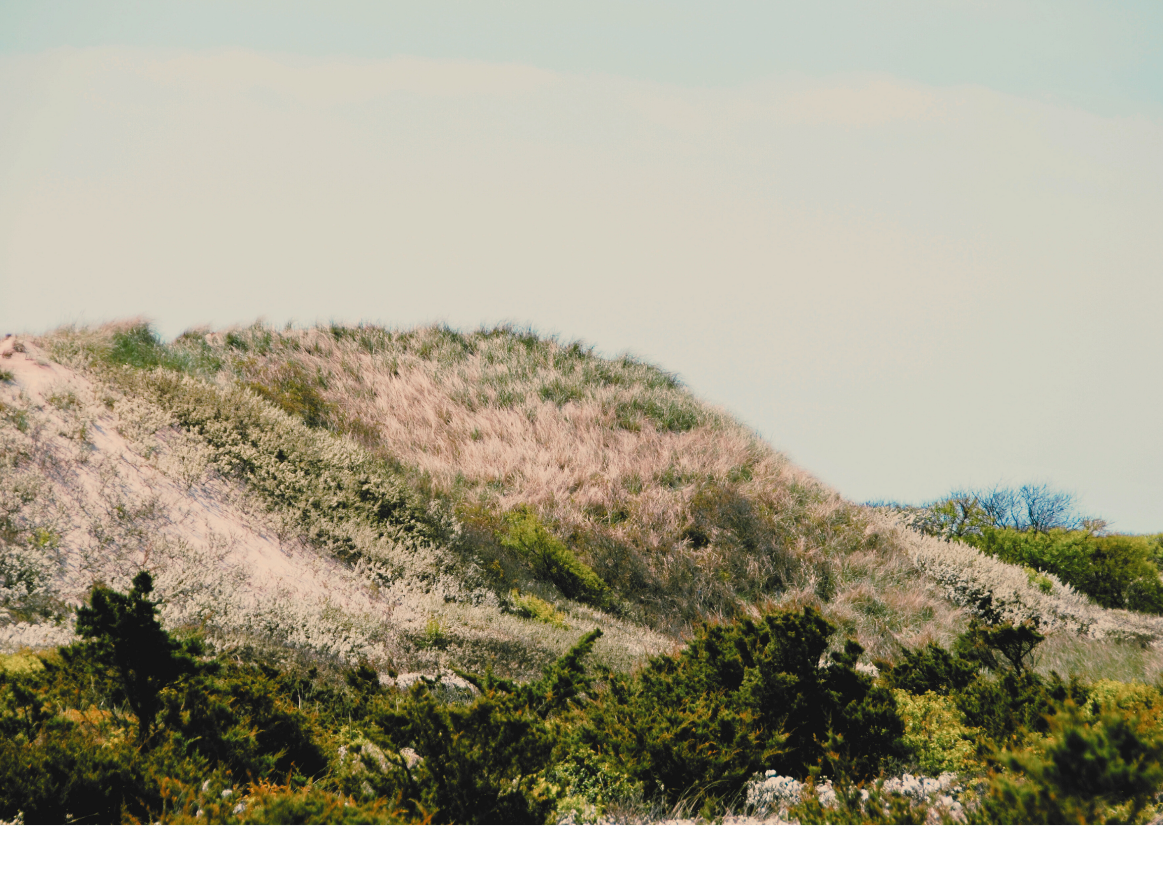Fire Island Dunes Sunset