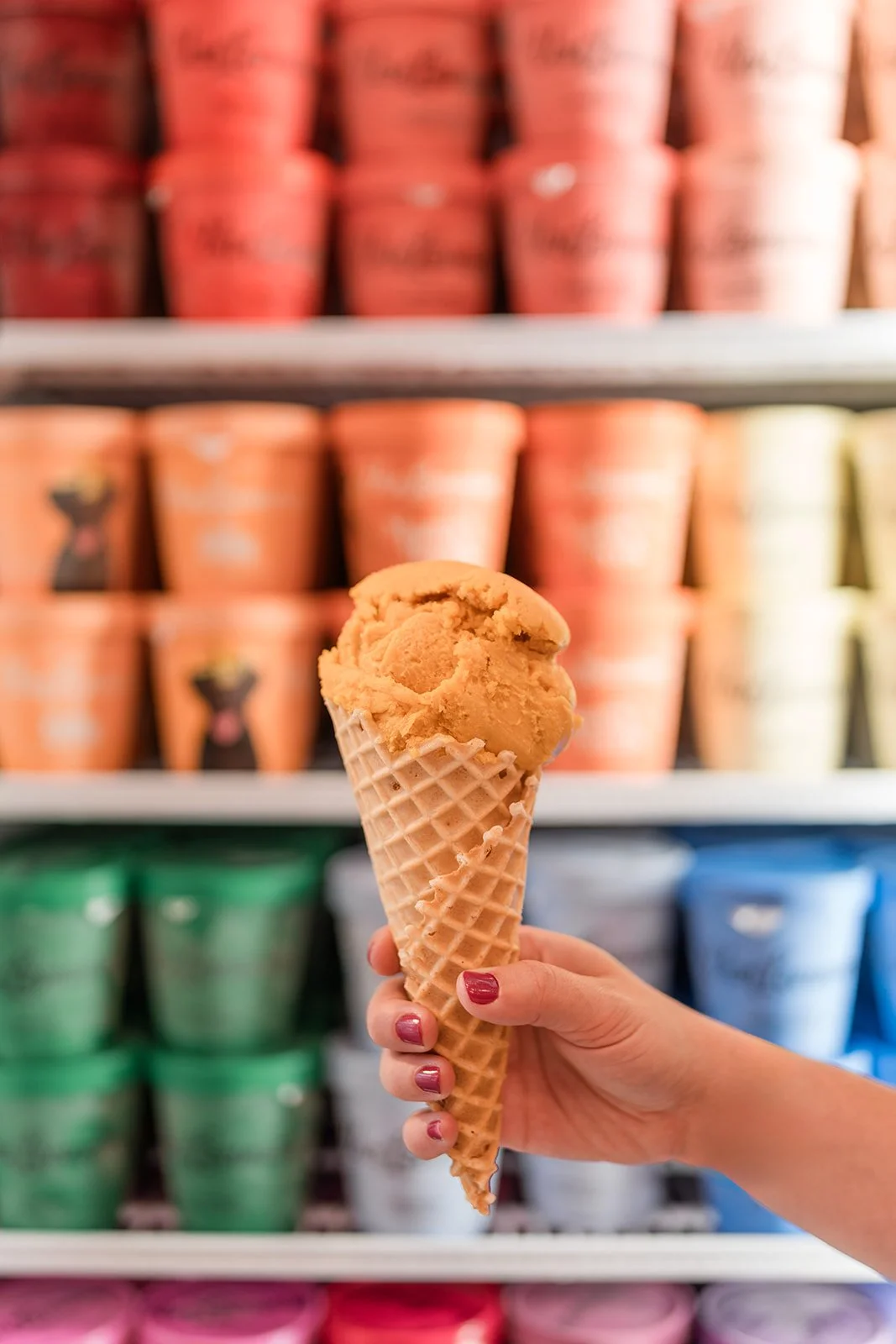 Van Leeuwen LSQ Nikki A Rae 06.25.2025-2 (1).jpg