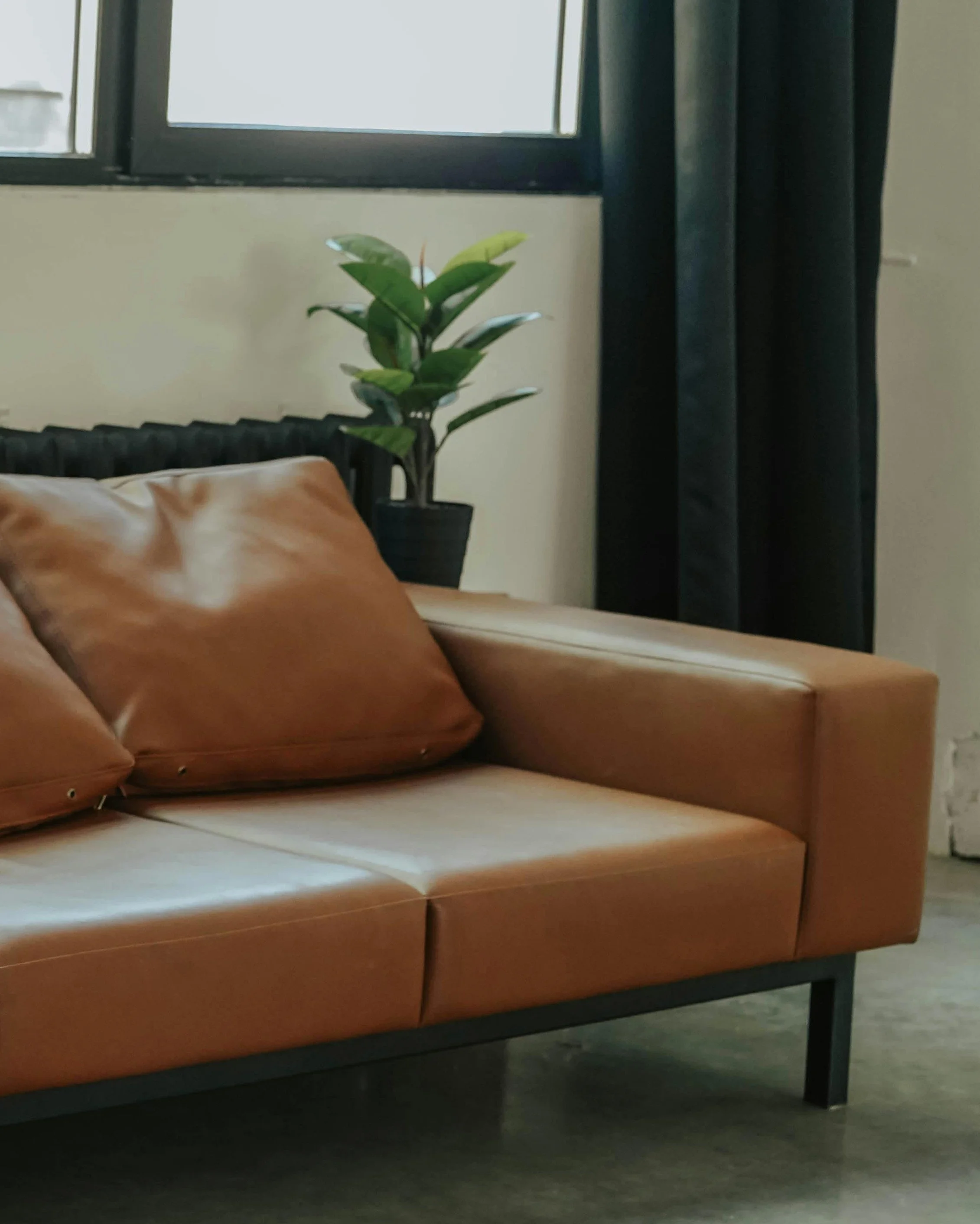 A tan leather sofa with two matching cushions in a room with a window, black curtains, and a potted green plant in the background.