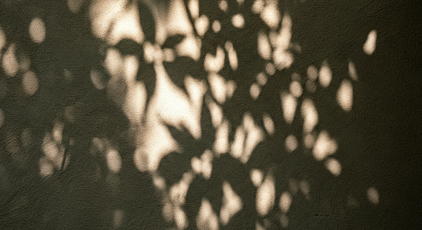 Shadow of tree leaves cast on a wall.