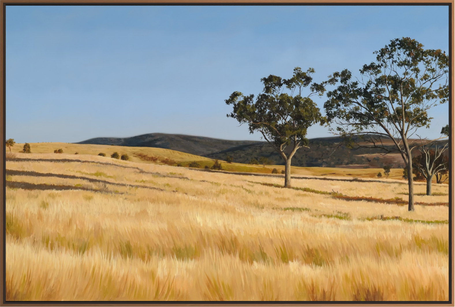 Afternoon Stillness ( 2026) oil on cotton panel 24 x 36