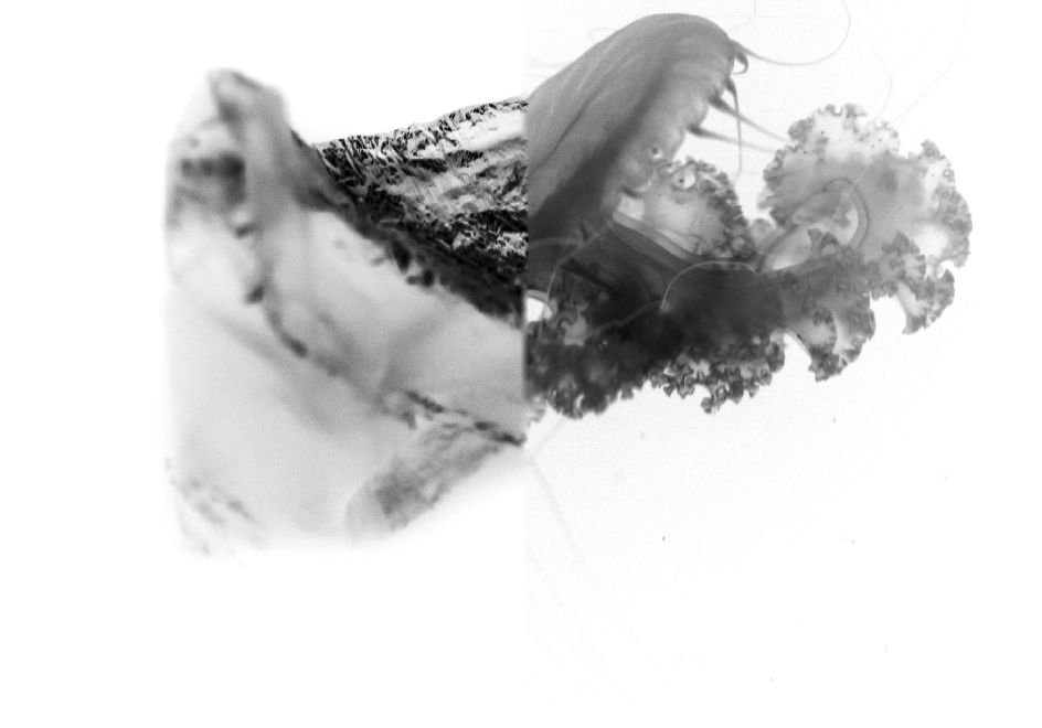 Floating Fallacy