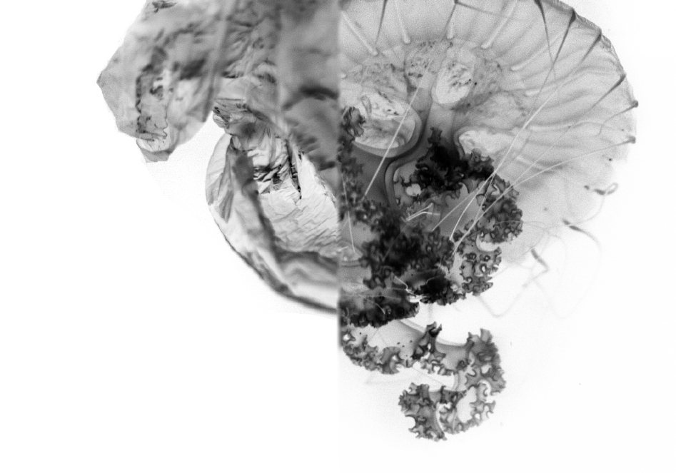 Floating Fallacy
