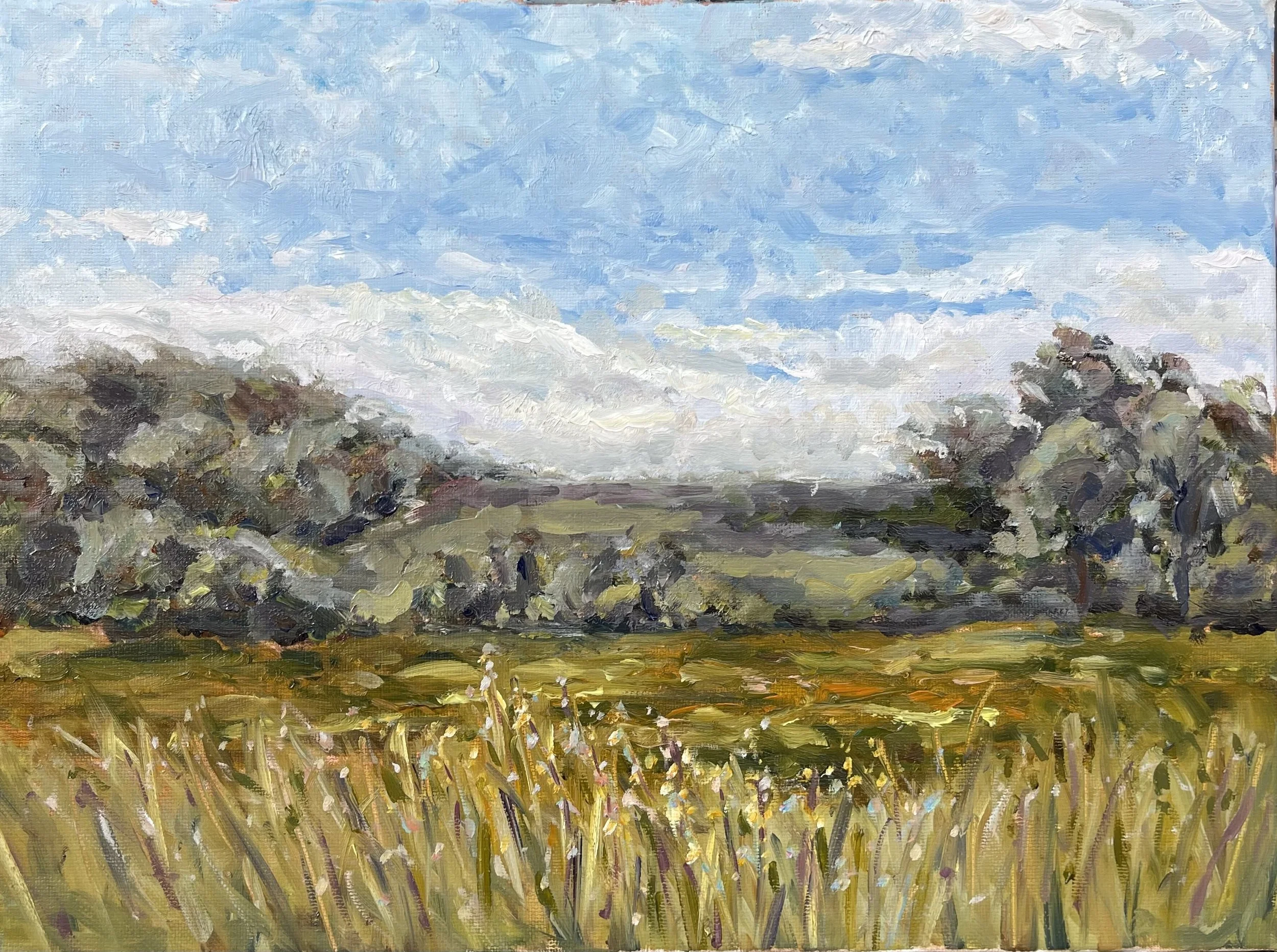 In the Field, Oil on Canvas, 2026