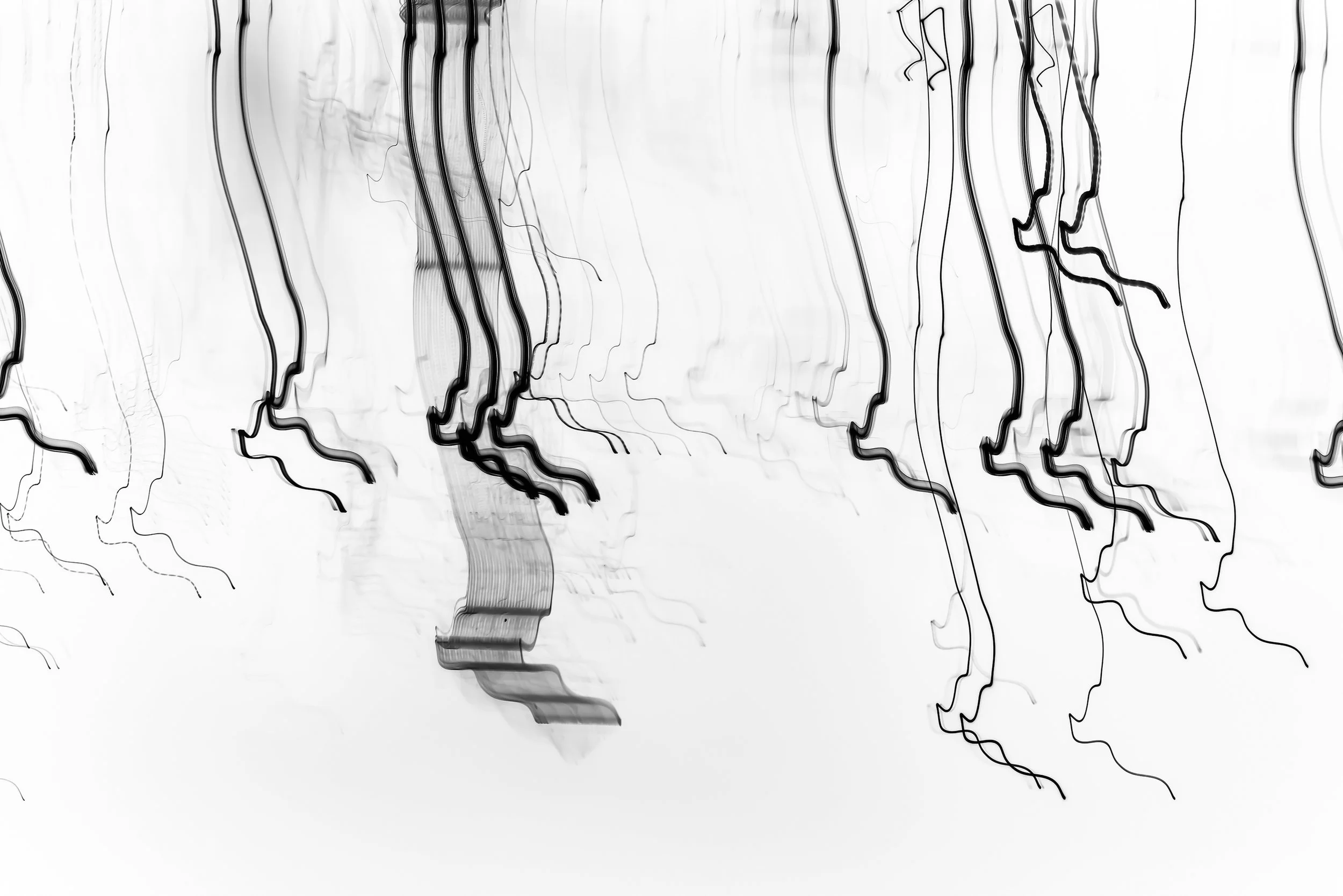The Empty Spaces