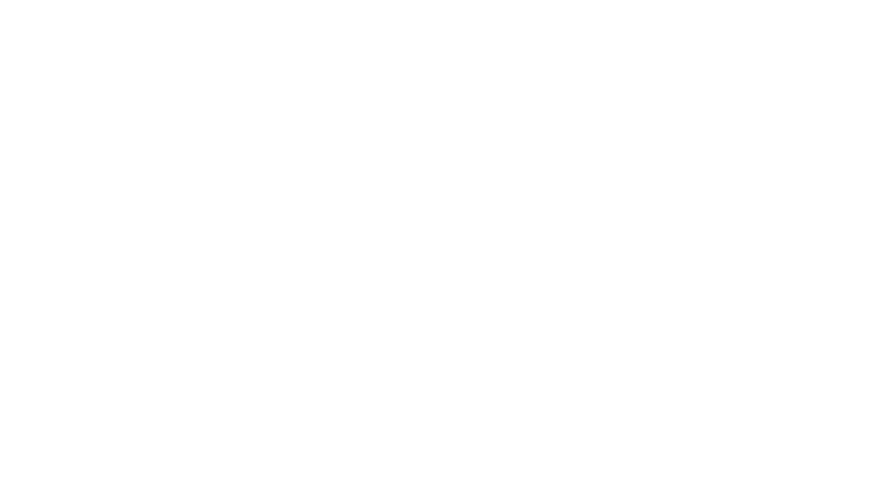 Illeagles
