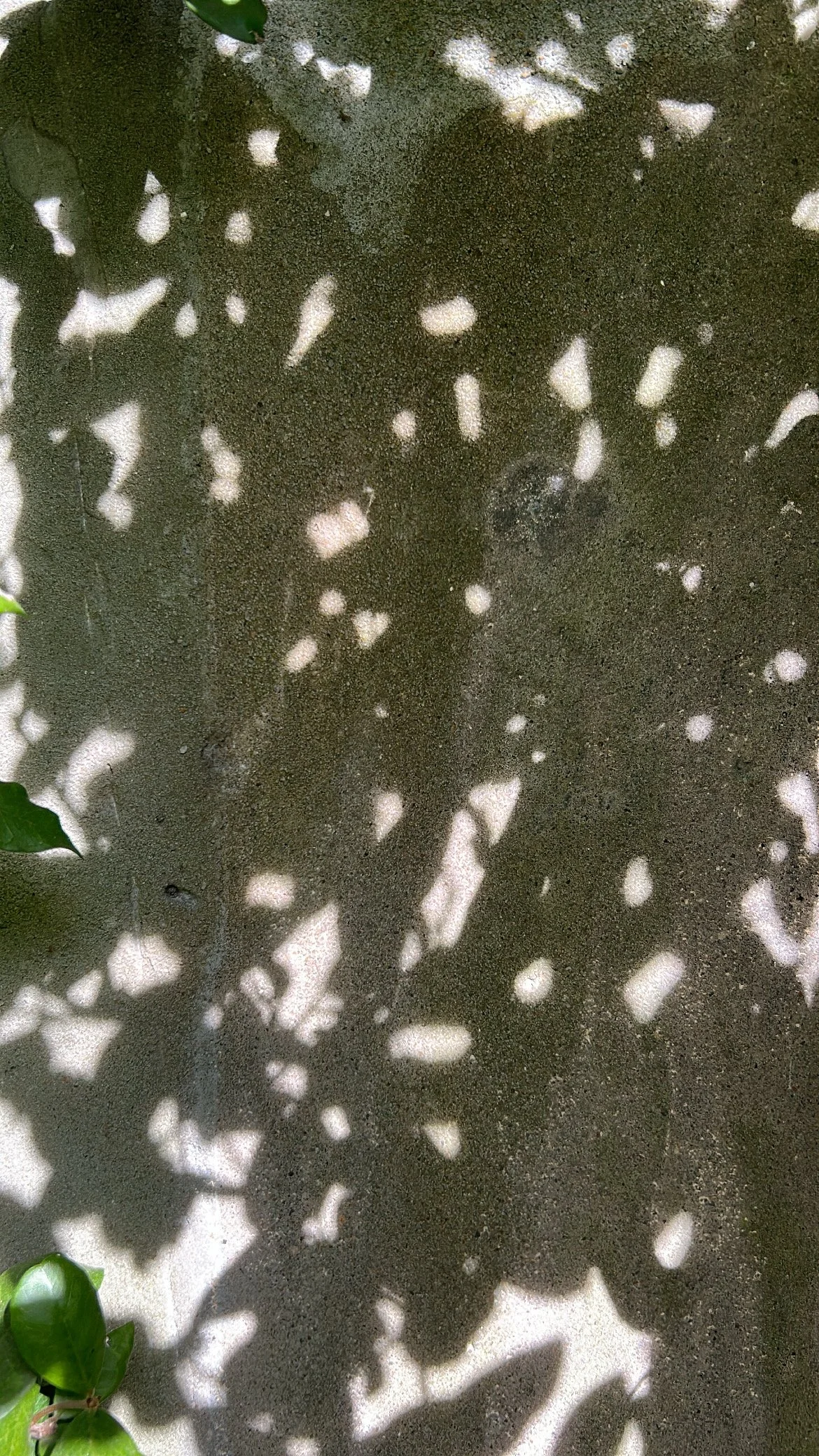 Follow Along on Instagram