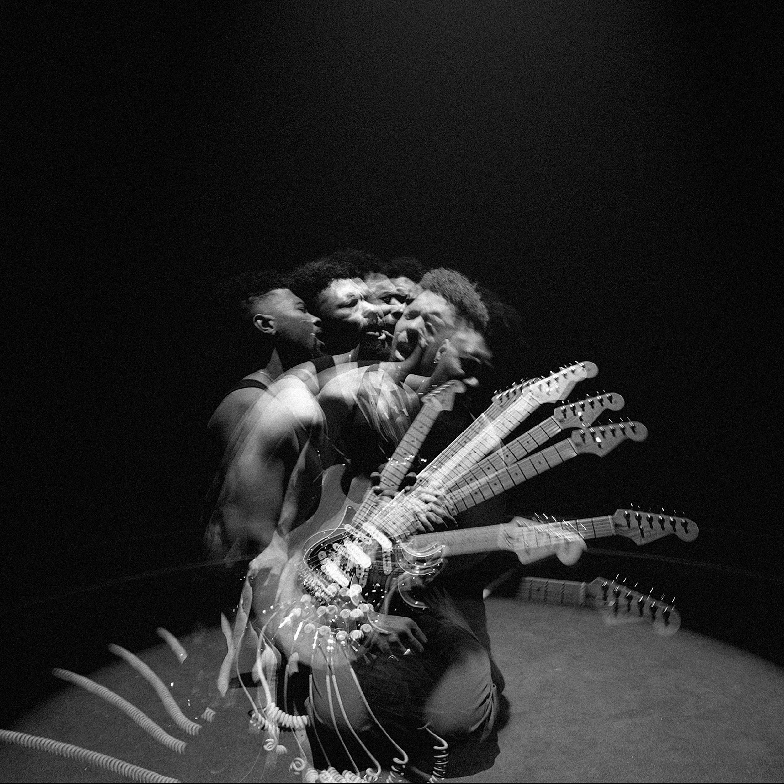 Black Dog Rabbit Hole 5.jpg