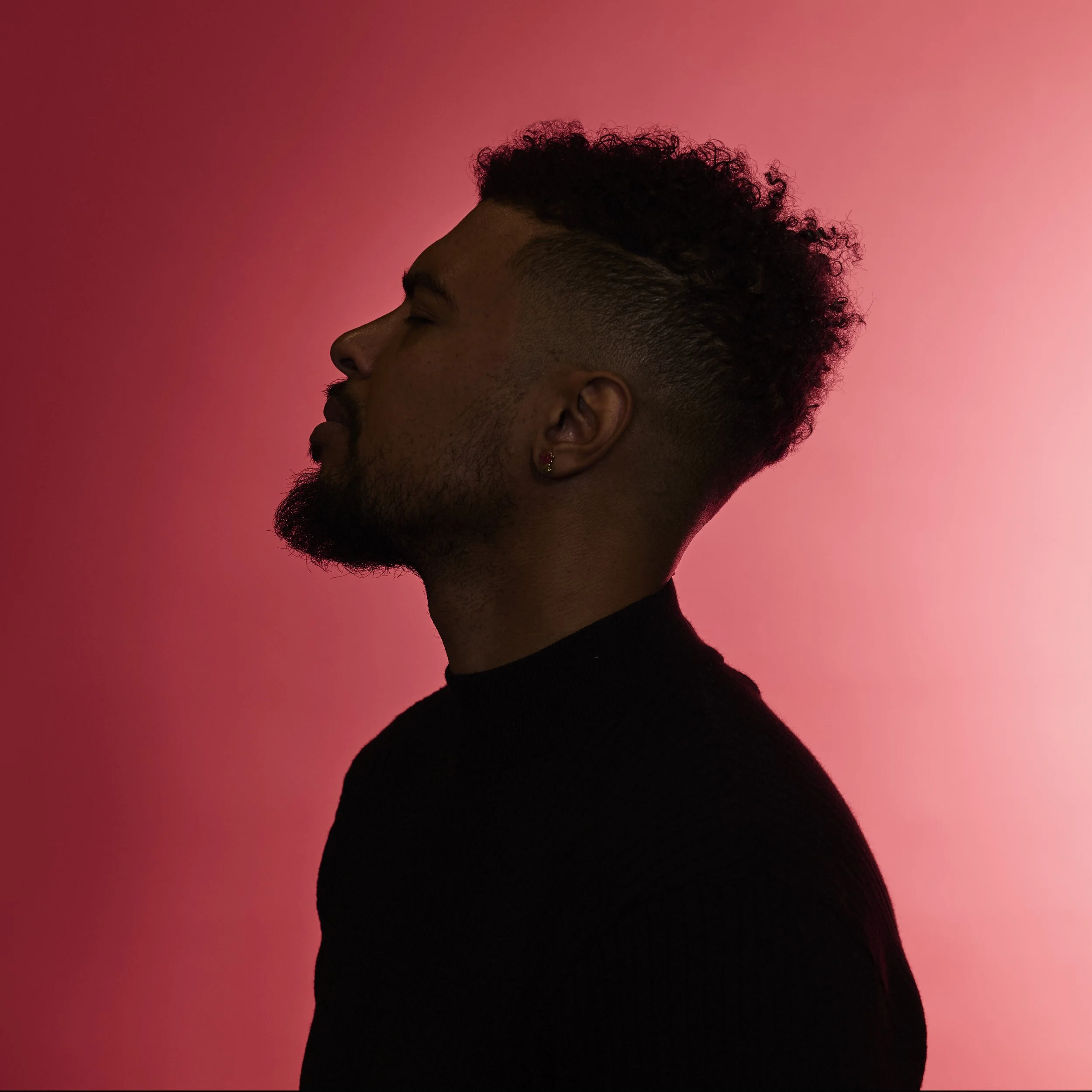 Red Silhouette 2.jpg