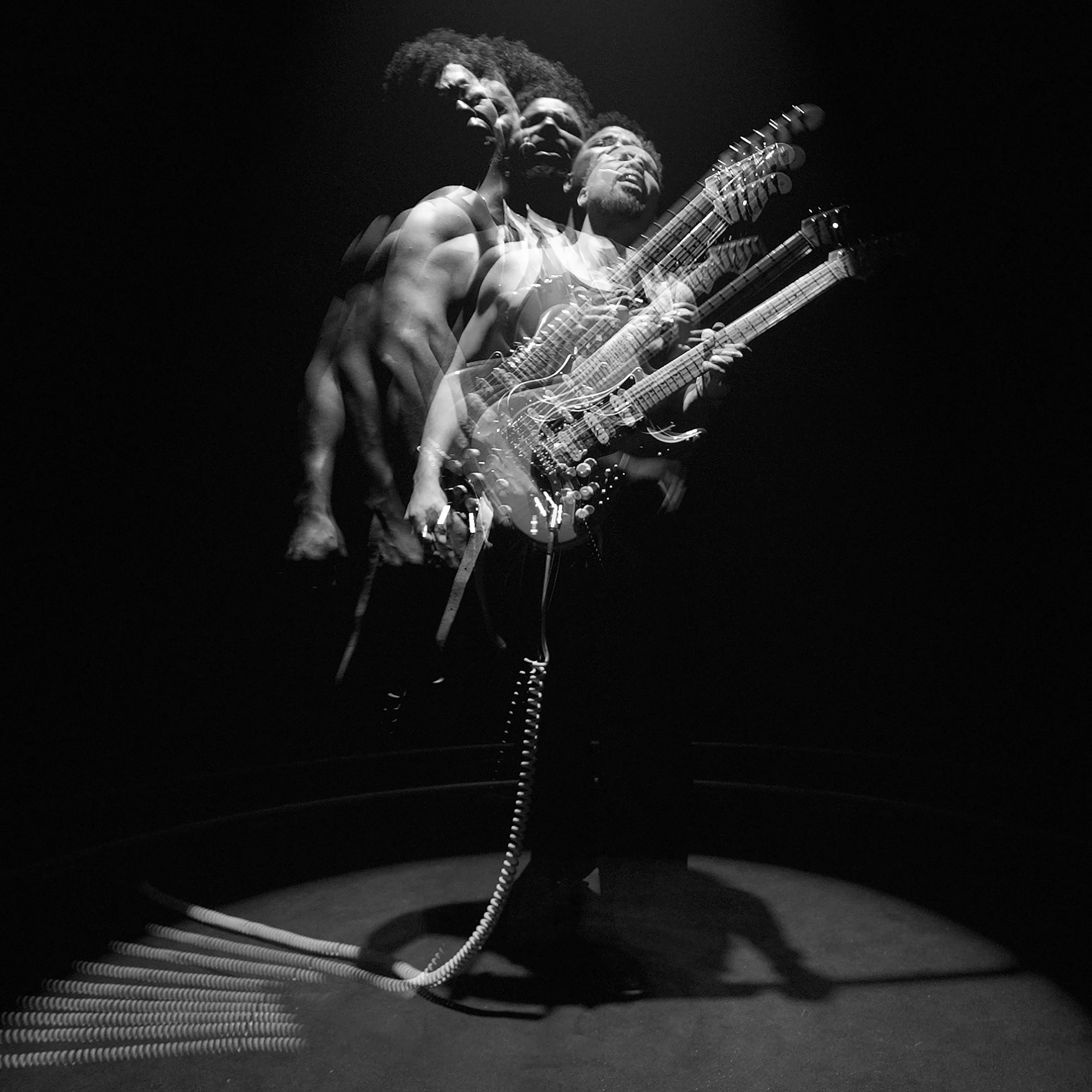 Black Dog Rabbit Hole 1.jpg