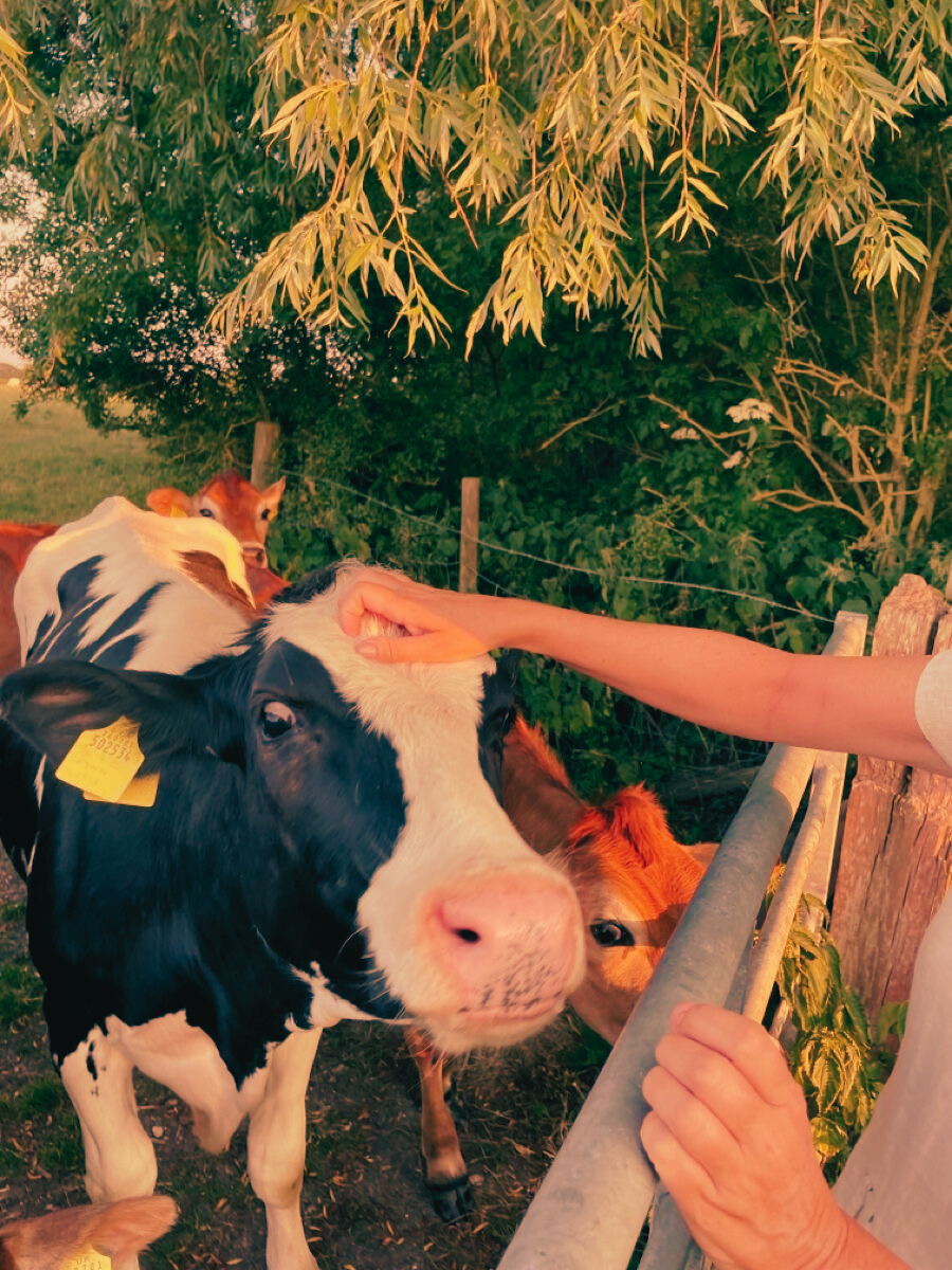 Ep.2/ Skin has seasons