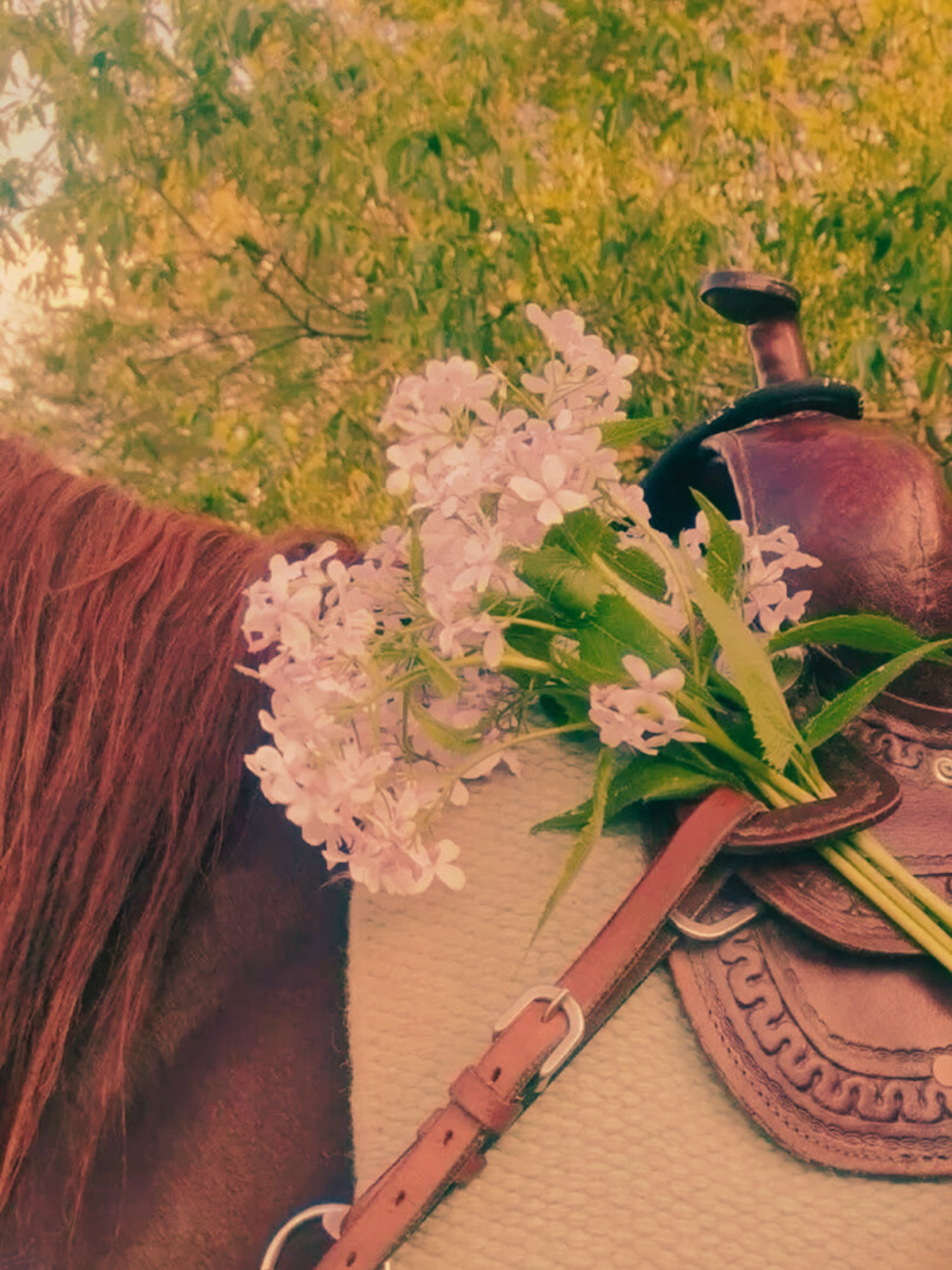 Ep.6/ Loving Yourself