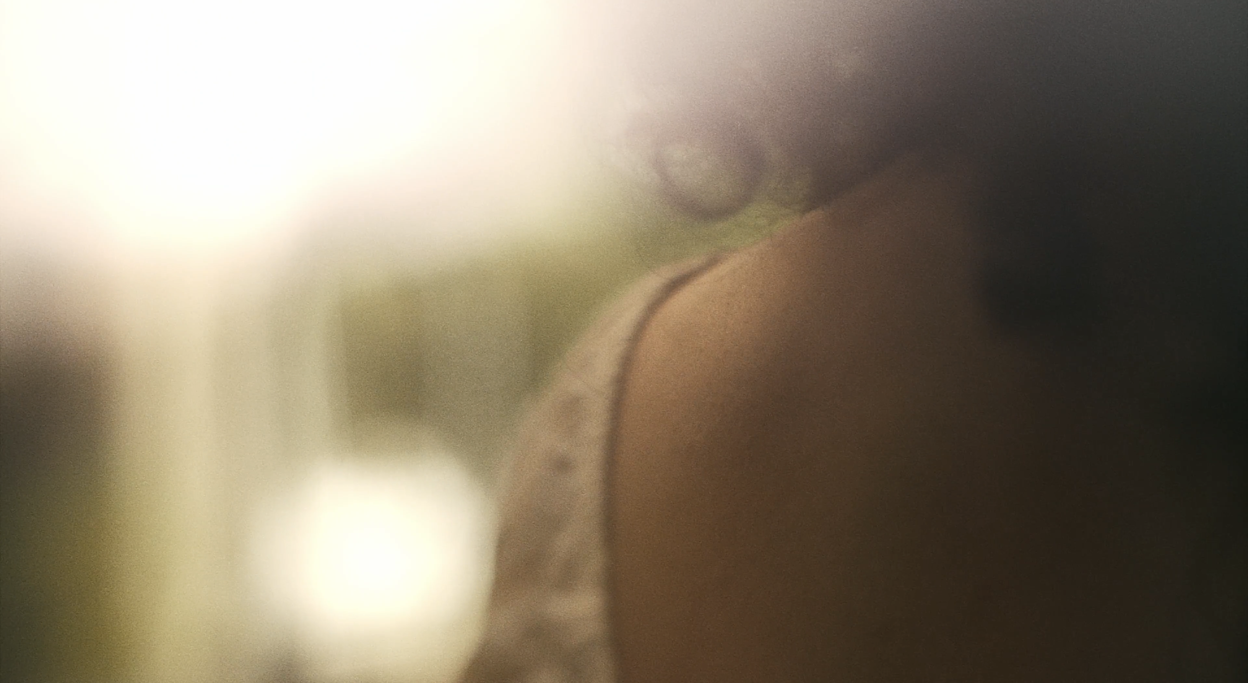 Screenshot 2026-02-13 at 12.29.54 PM.png