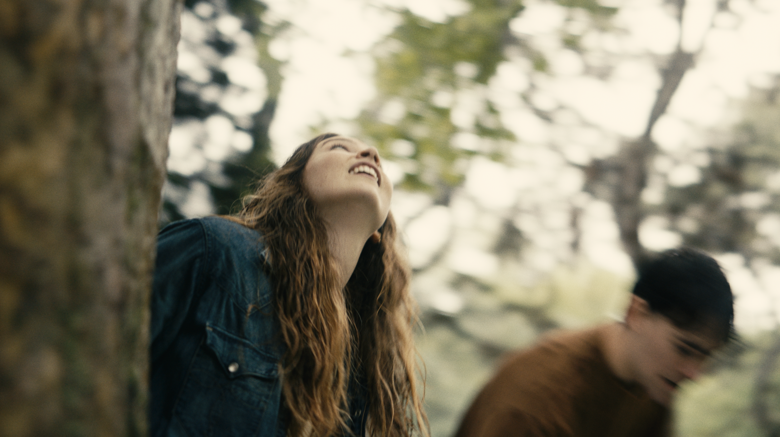 Screenshot 2026-02-12 at 2.54.42 PM.png