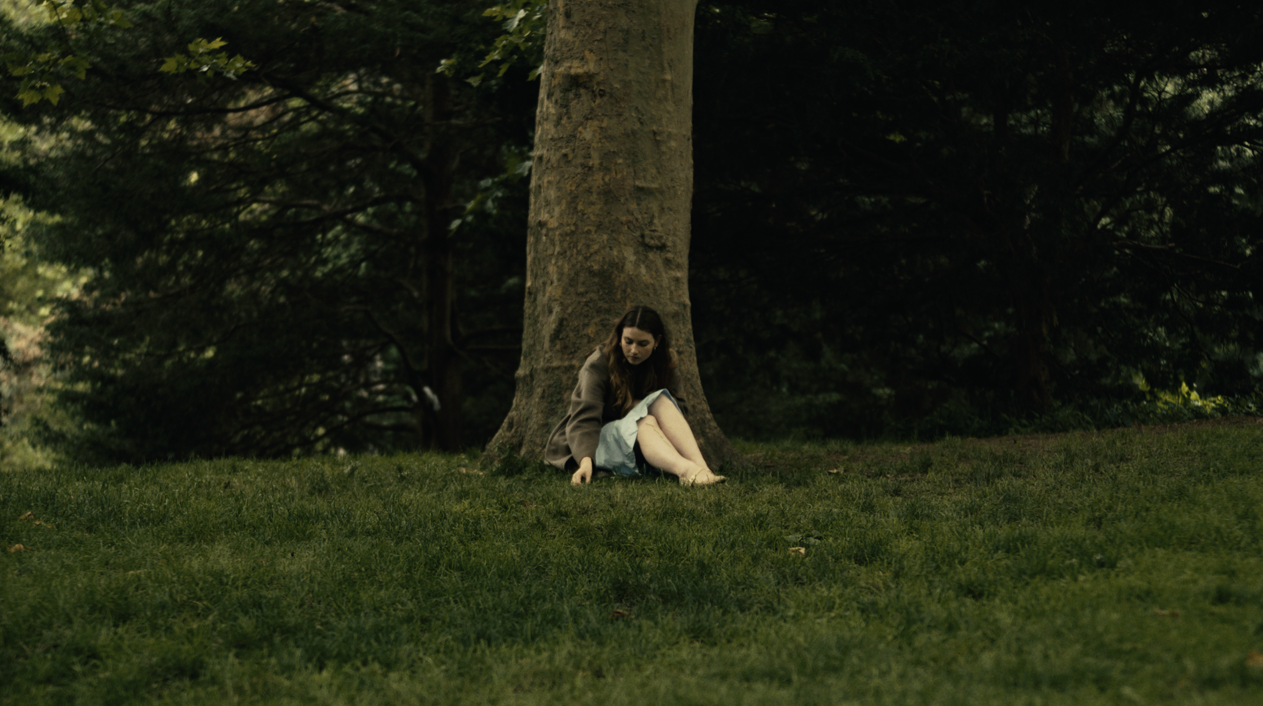 Screenshot 2026-02-12 at 2.53.51 PM.png