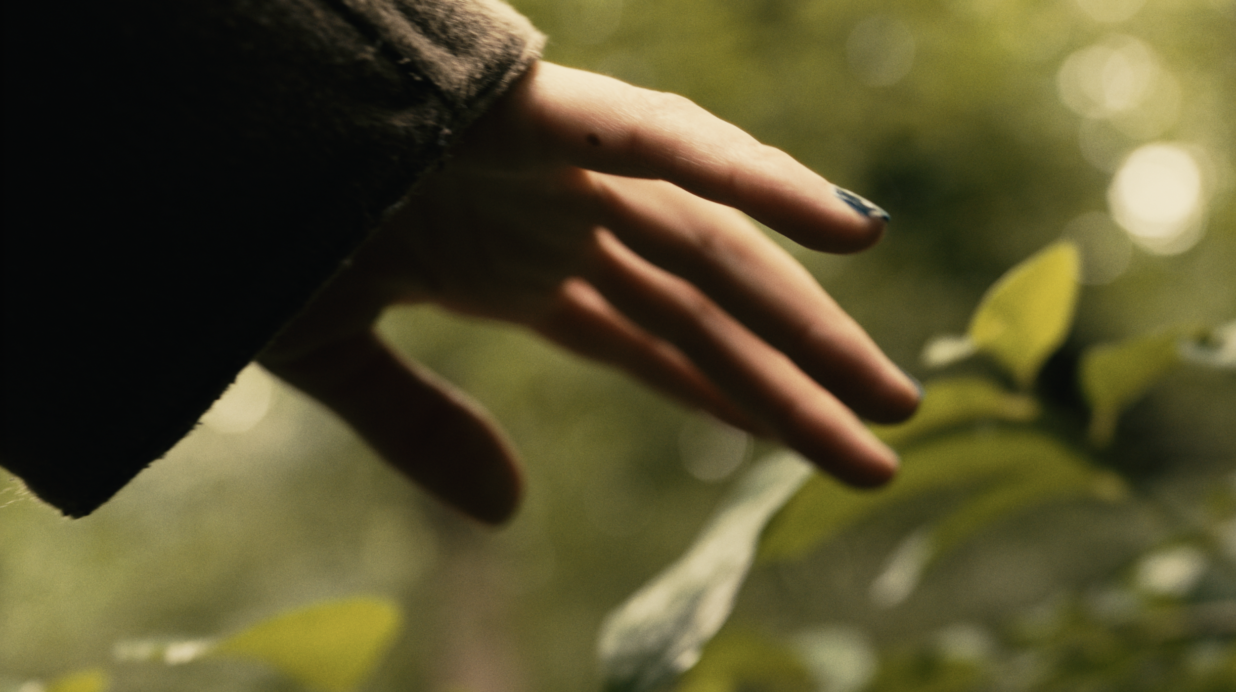 Screenshot 2026-02-12 at 2.50.22 PM.png