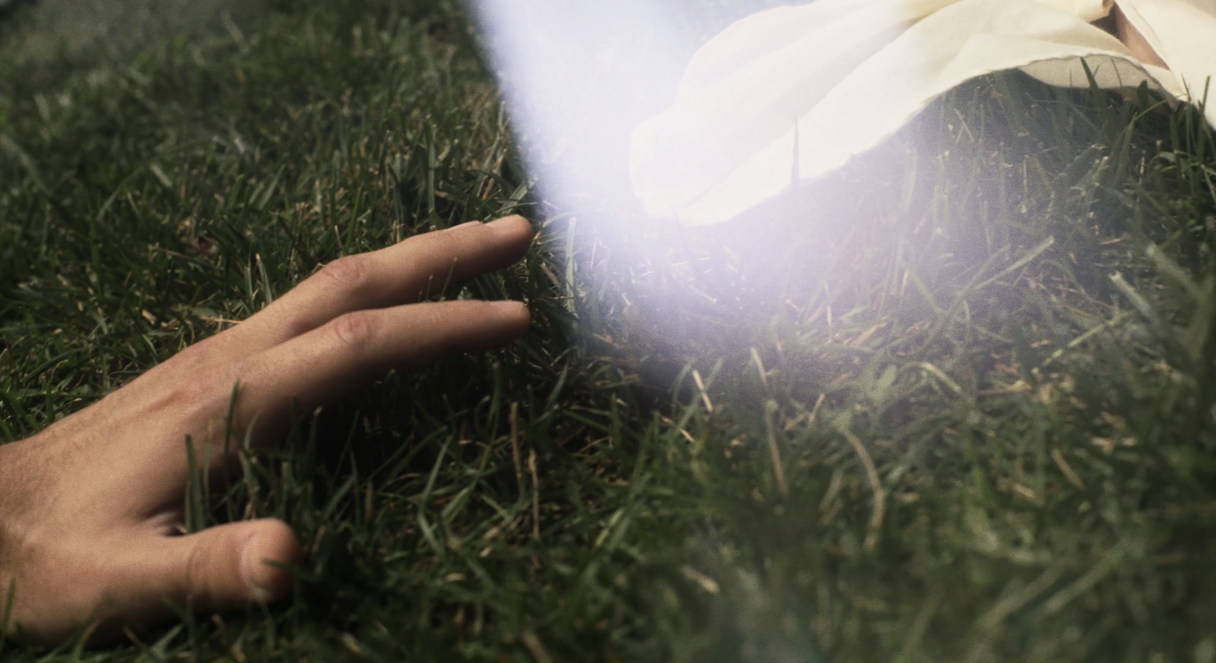 Screenshot 2026-02-13 at 12.31.57 PM.png