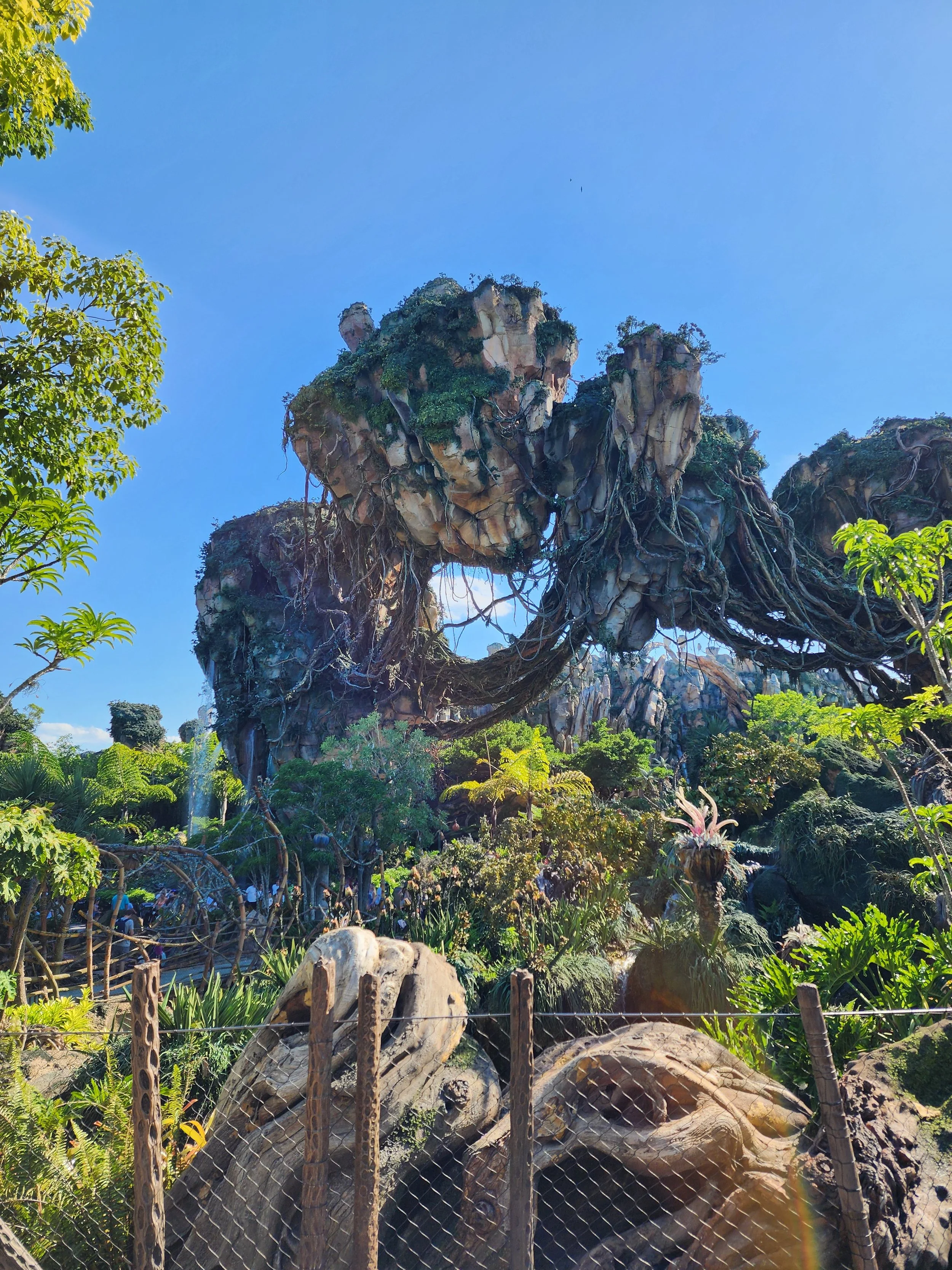 Foreground shows various sizes of vines.  Background shows Patrell rockwork mountain with arches and shards.  
