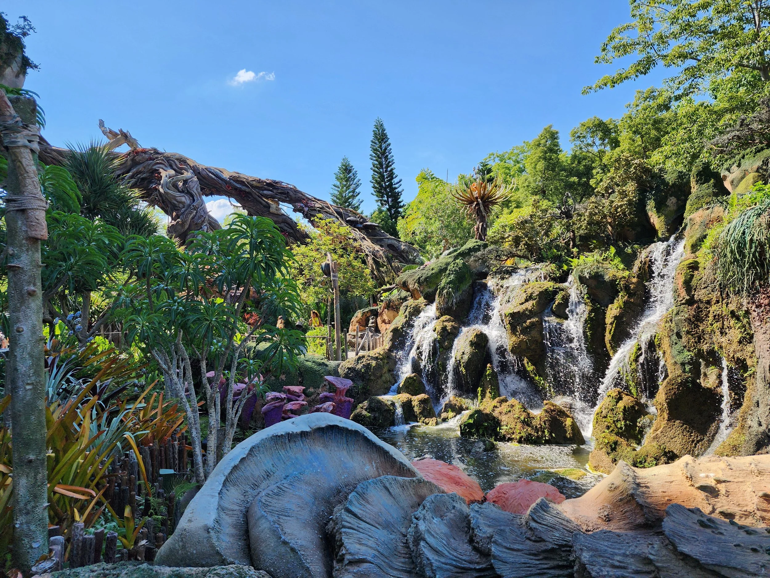 Steel framing supports the massive themed roots that add to the awe-inspiring journey through the Valley of Mo’ara.