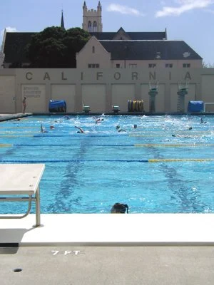 6 UC Berkeley (V).jpg