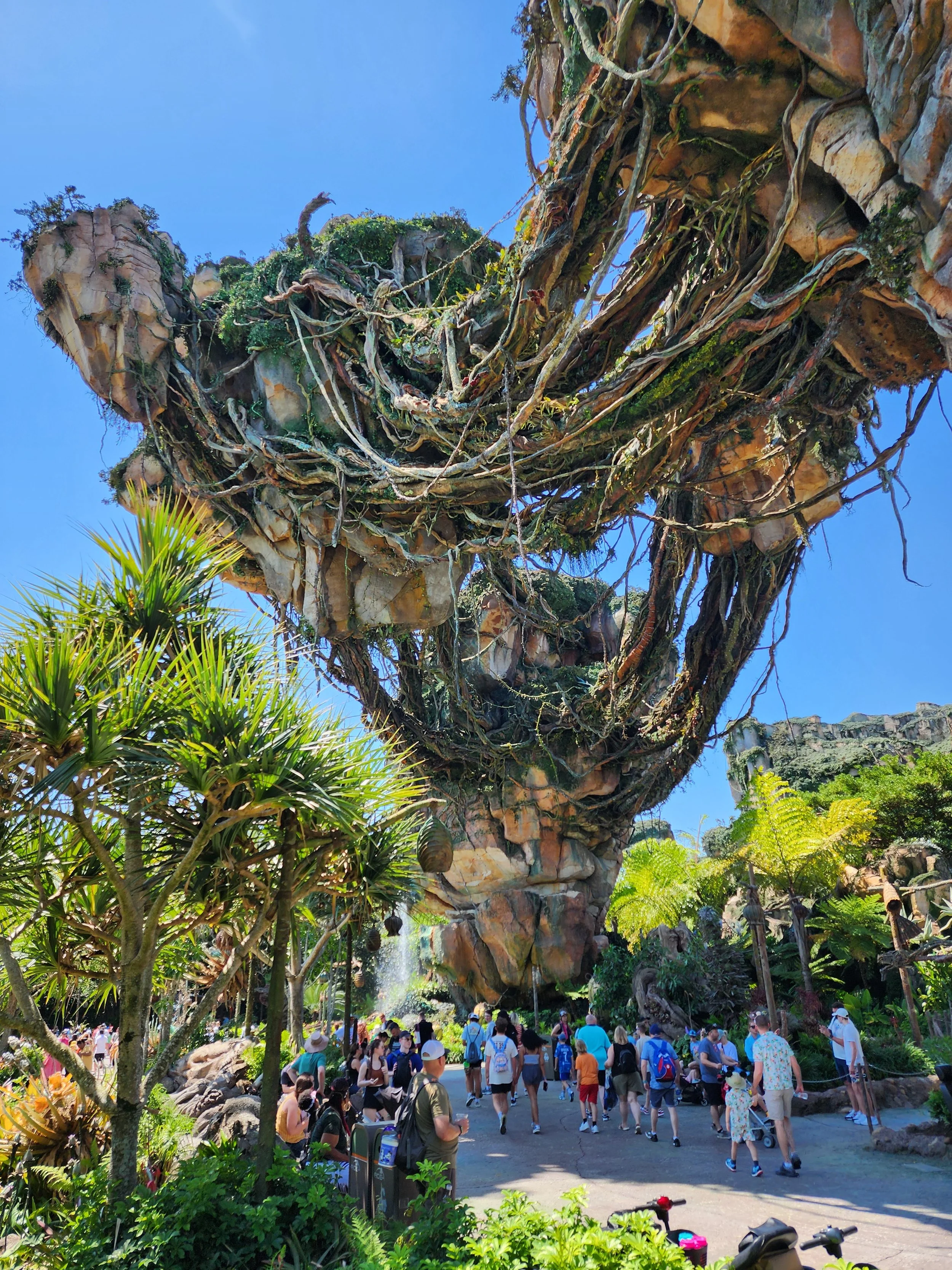 The complex web of various sizes of faux vines are shown here.  Vines were all located in a 3-D computer model to define quantities, diameters and spans.  Vine spans varied from 20 feet to up to 60 feet in length.  