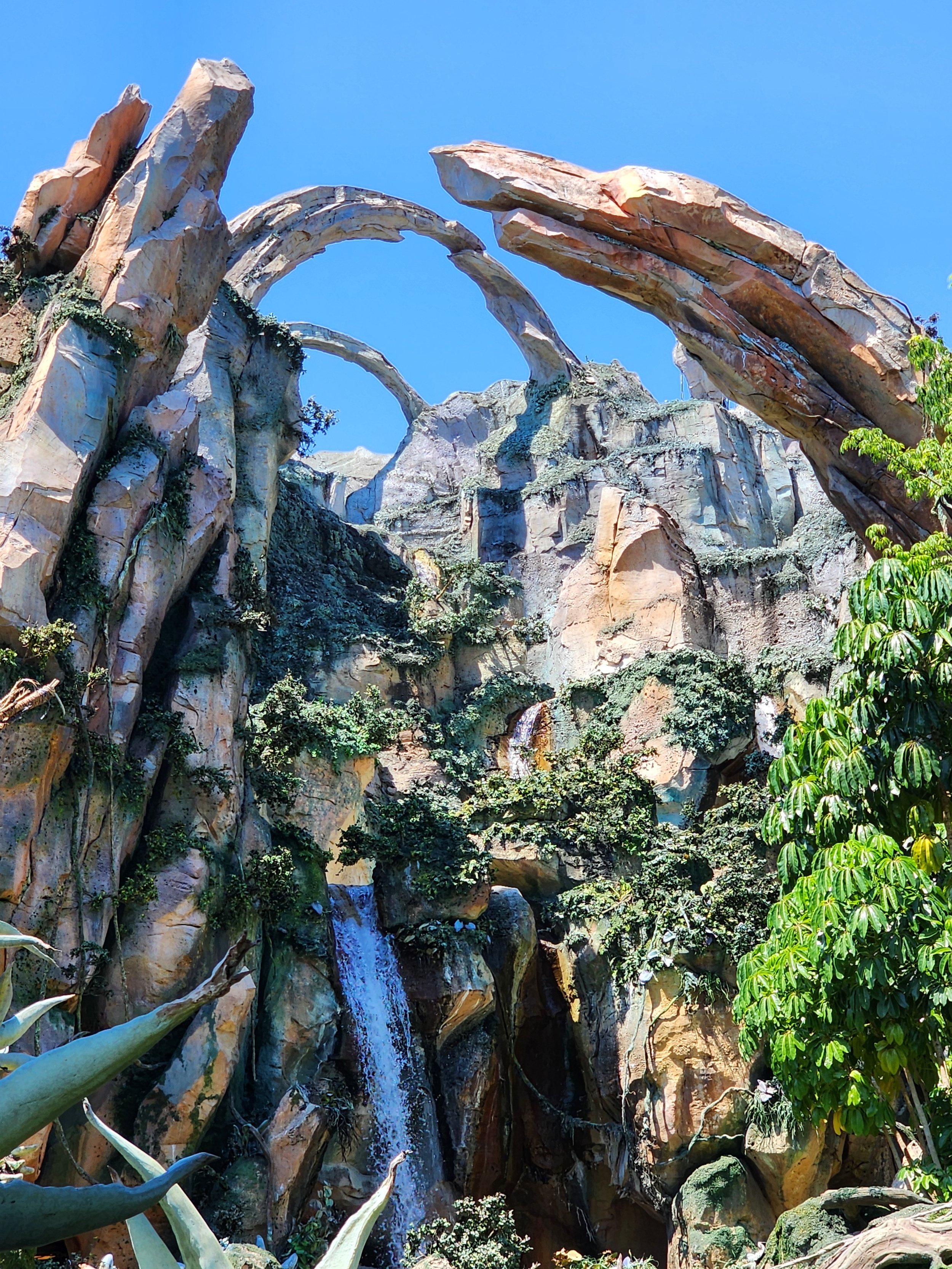 Ride building rockwork is shown.  Also shown are themed foliage and roots on the rockwork:  attachments were designed.  