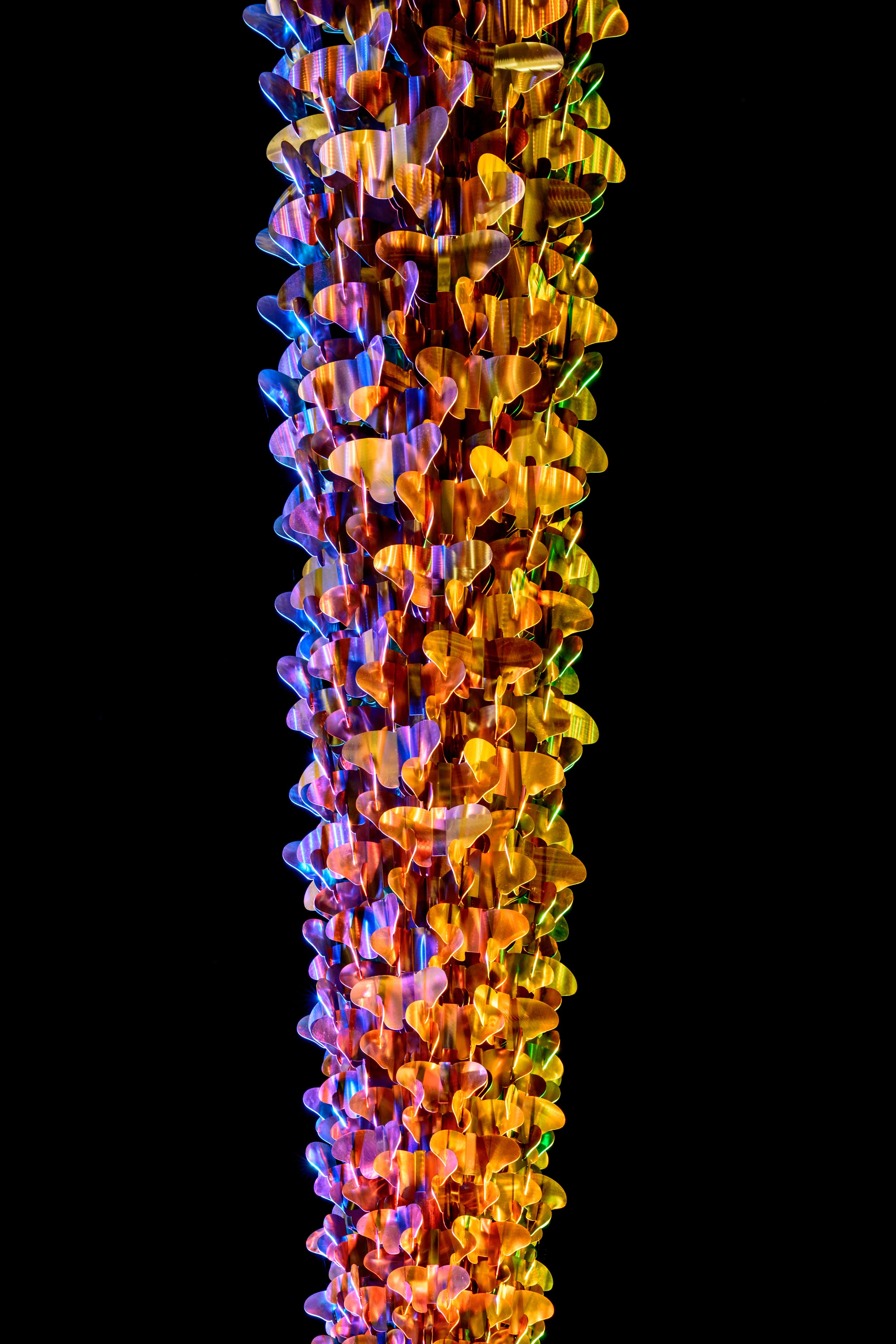 3 Monarch - San Francisco CA.jpg