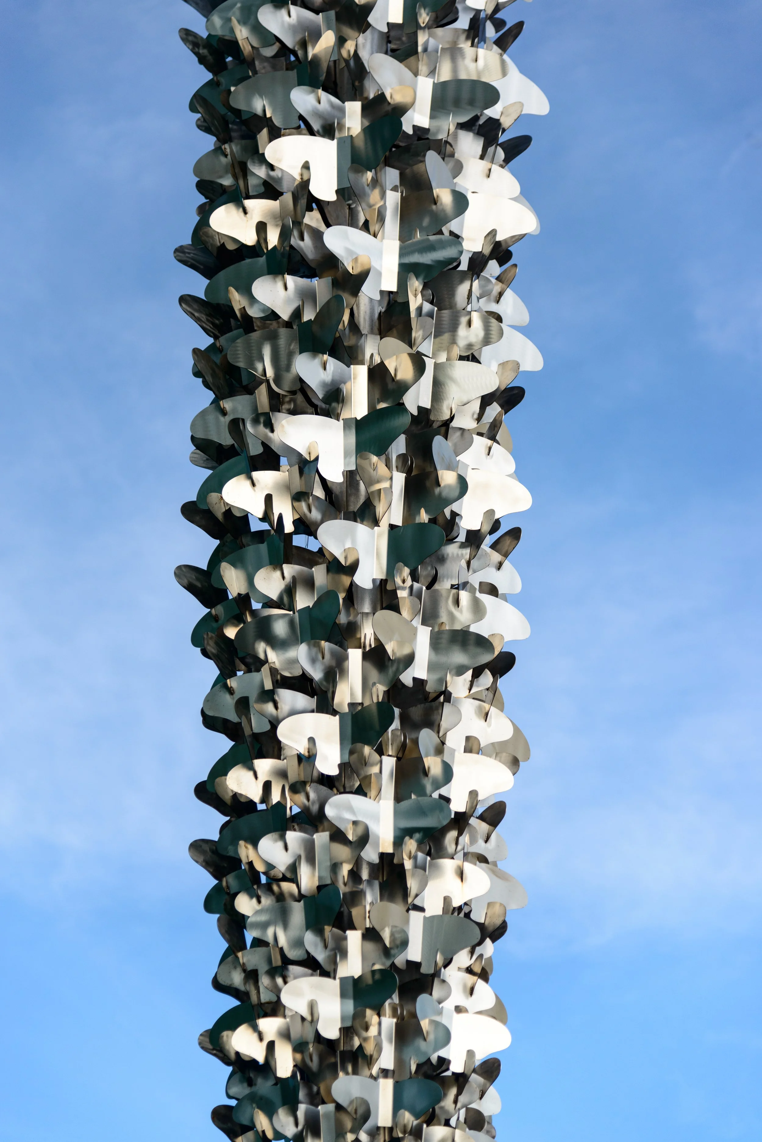 5 Monarch - San Francisco CA.jpg