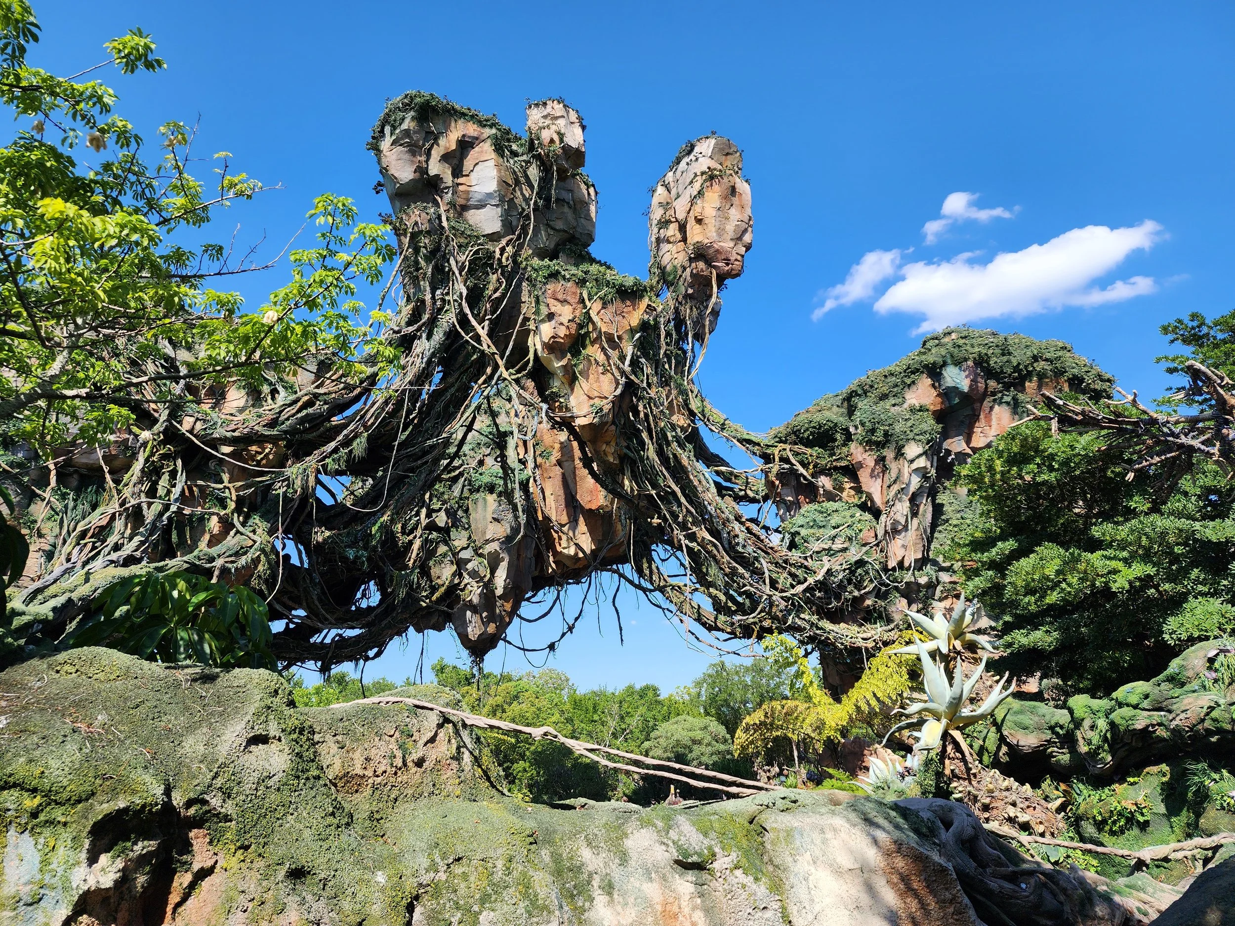Another view of all of the vines.  Also shown is a Patrell design for the smaller floating rock shown upper right.  The 3 pieces of the floating rockwork that is in front of the main rock mountain was designed by others.