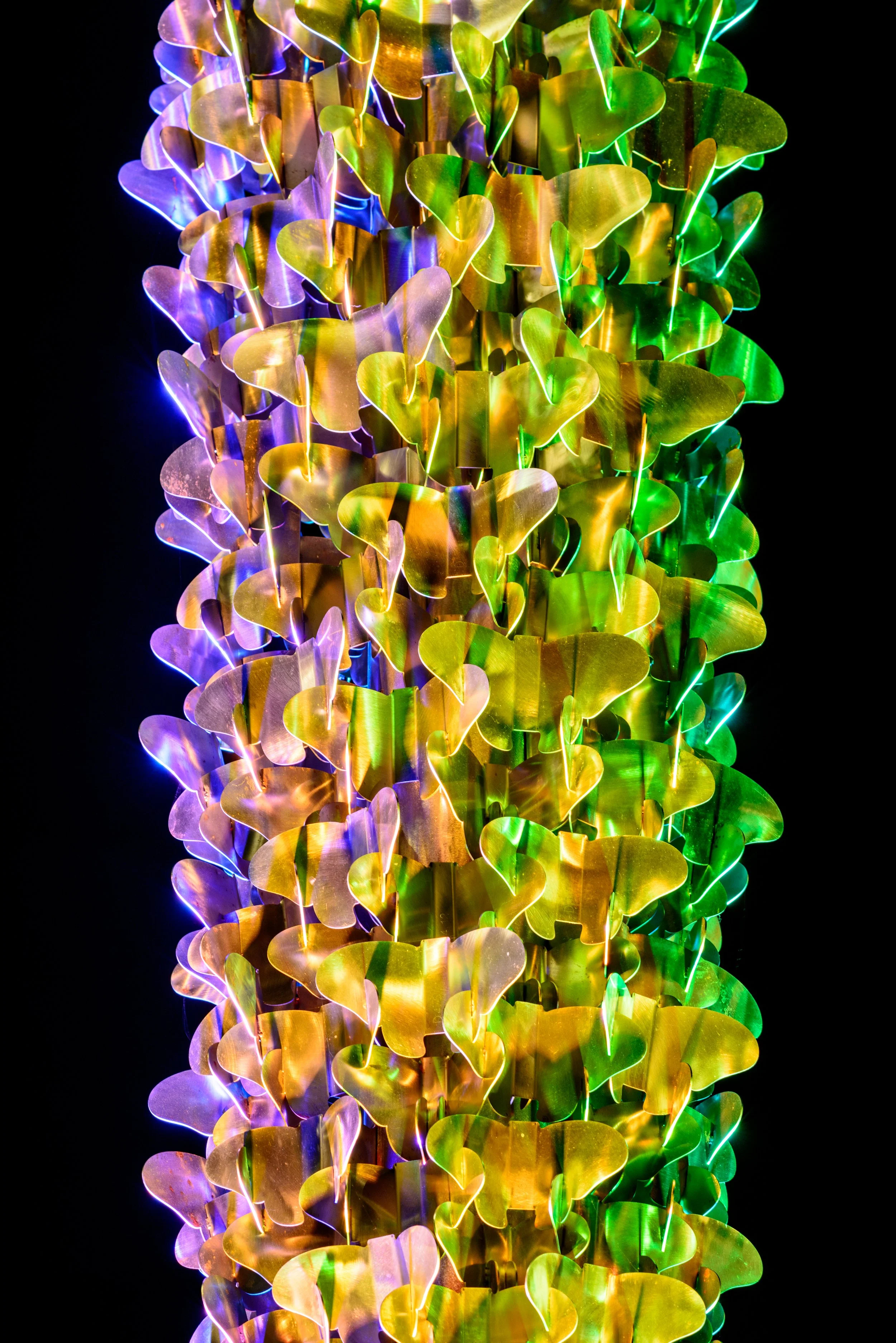 4 Monarch - San Francisco CA.jpg