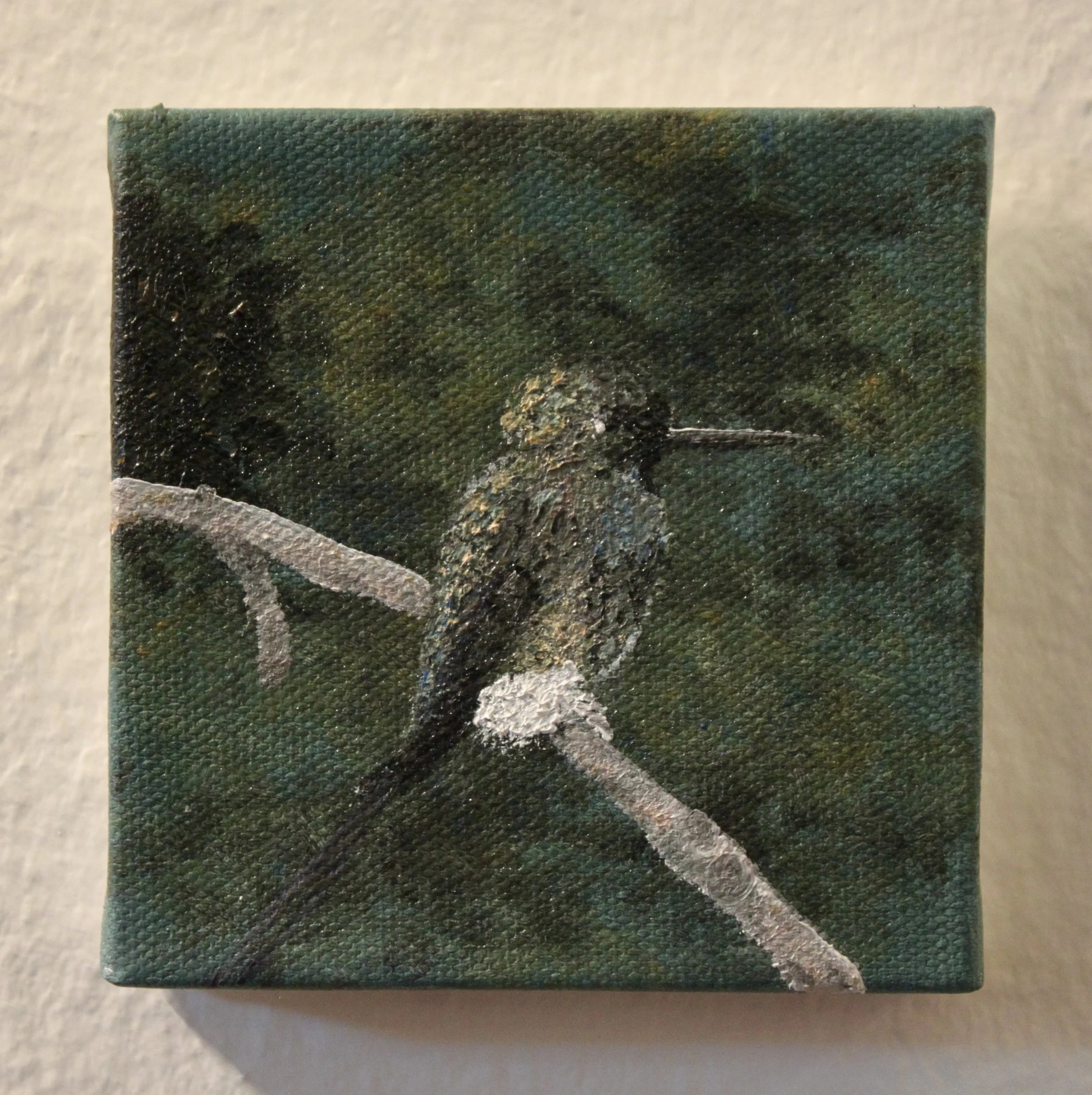 "Booted racket-tail"   :    
Oil on canvas   :   4-by-4 inches   :    Completed in 2025