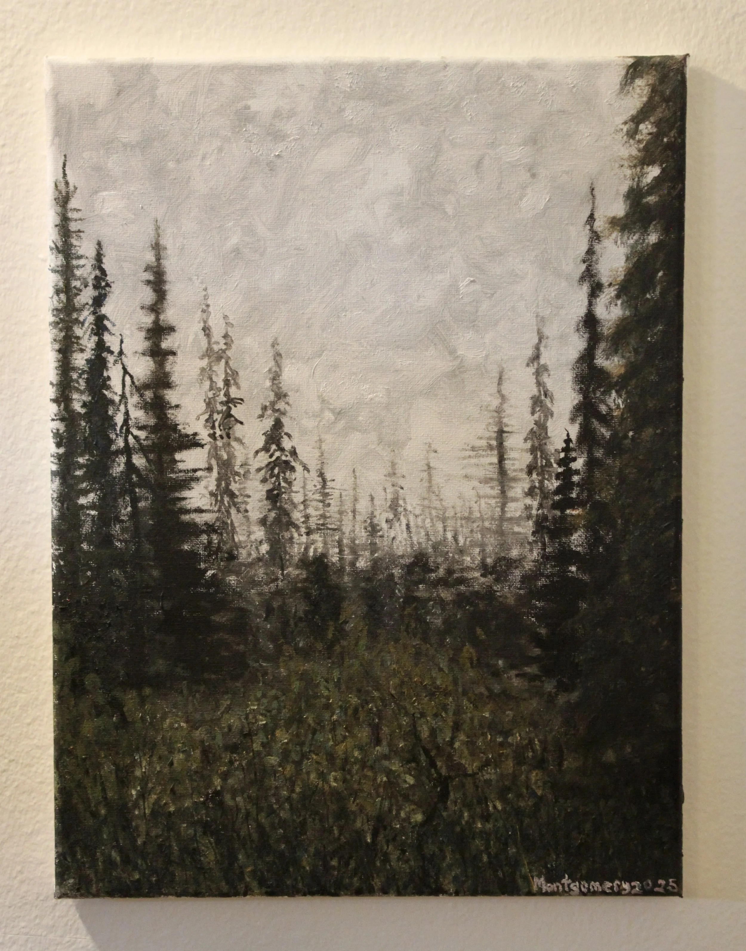 "Mystic mountain forests"   :   Oil on canvas   :   12-by-16 inches   :   Completed in 2025