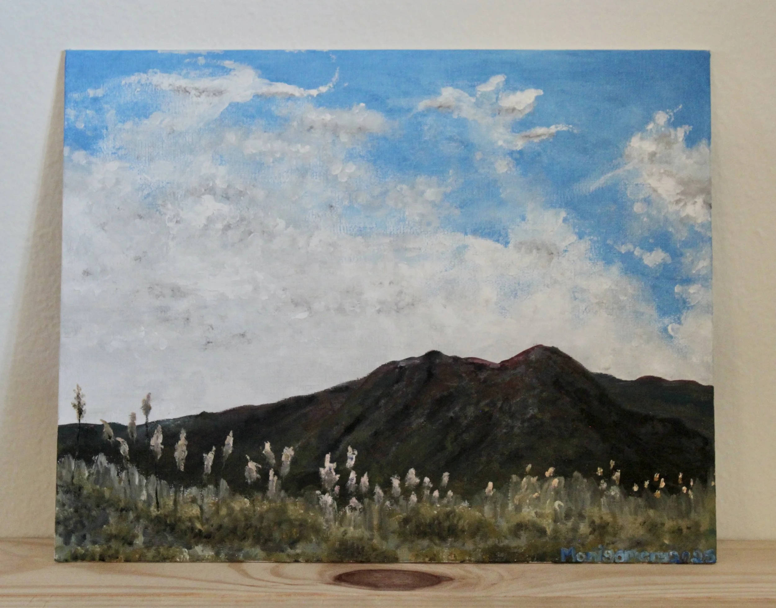 "The land above the mountains"   :   Oil on canvas panel   :   14-by-11 inches   :   Completed in 2025