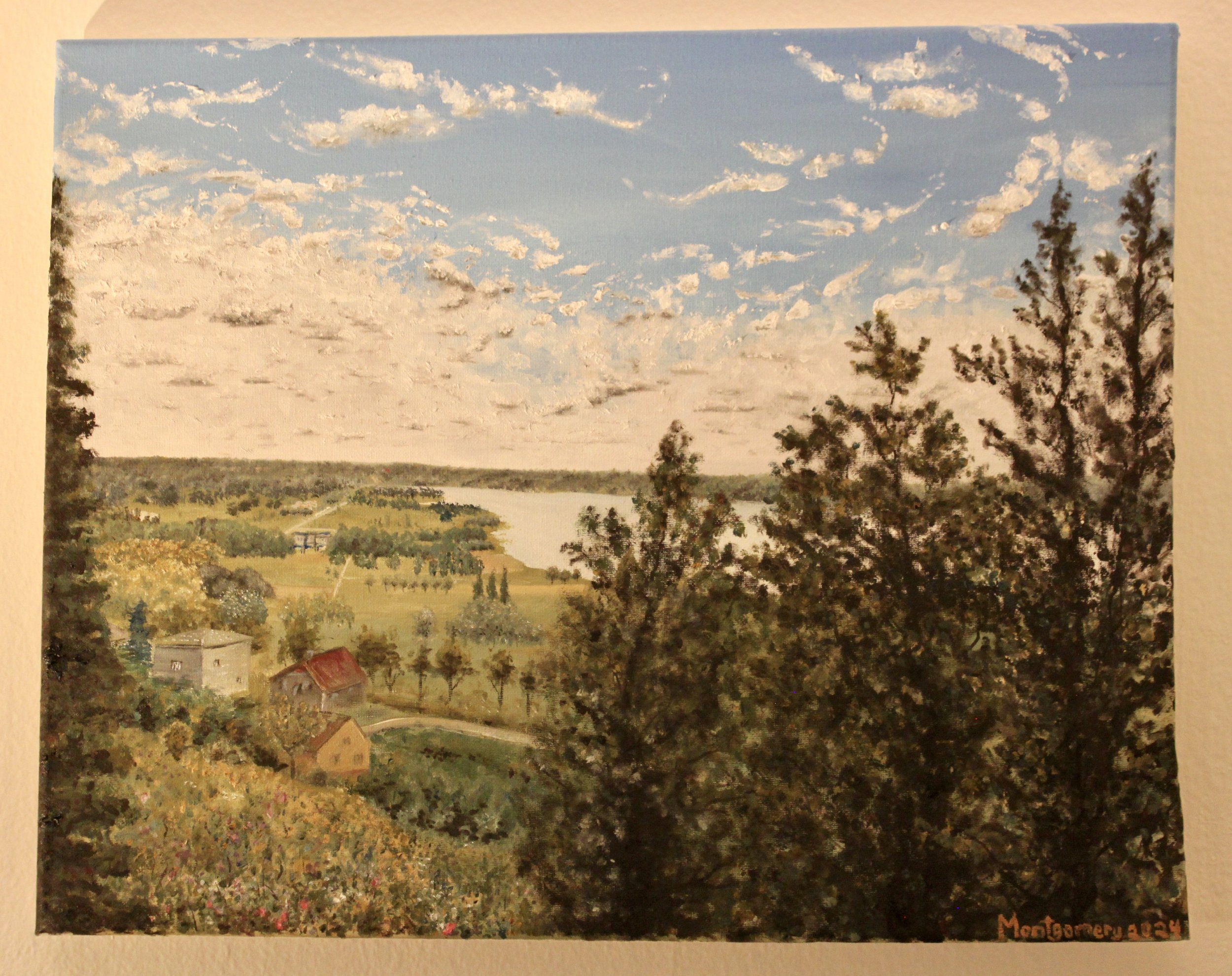 "The summer swarms of Viljandi"   :   Oil on canvas   :   16-by-20 inches   :   Completed in 2024