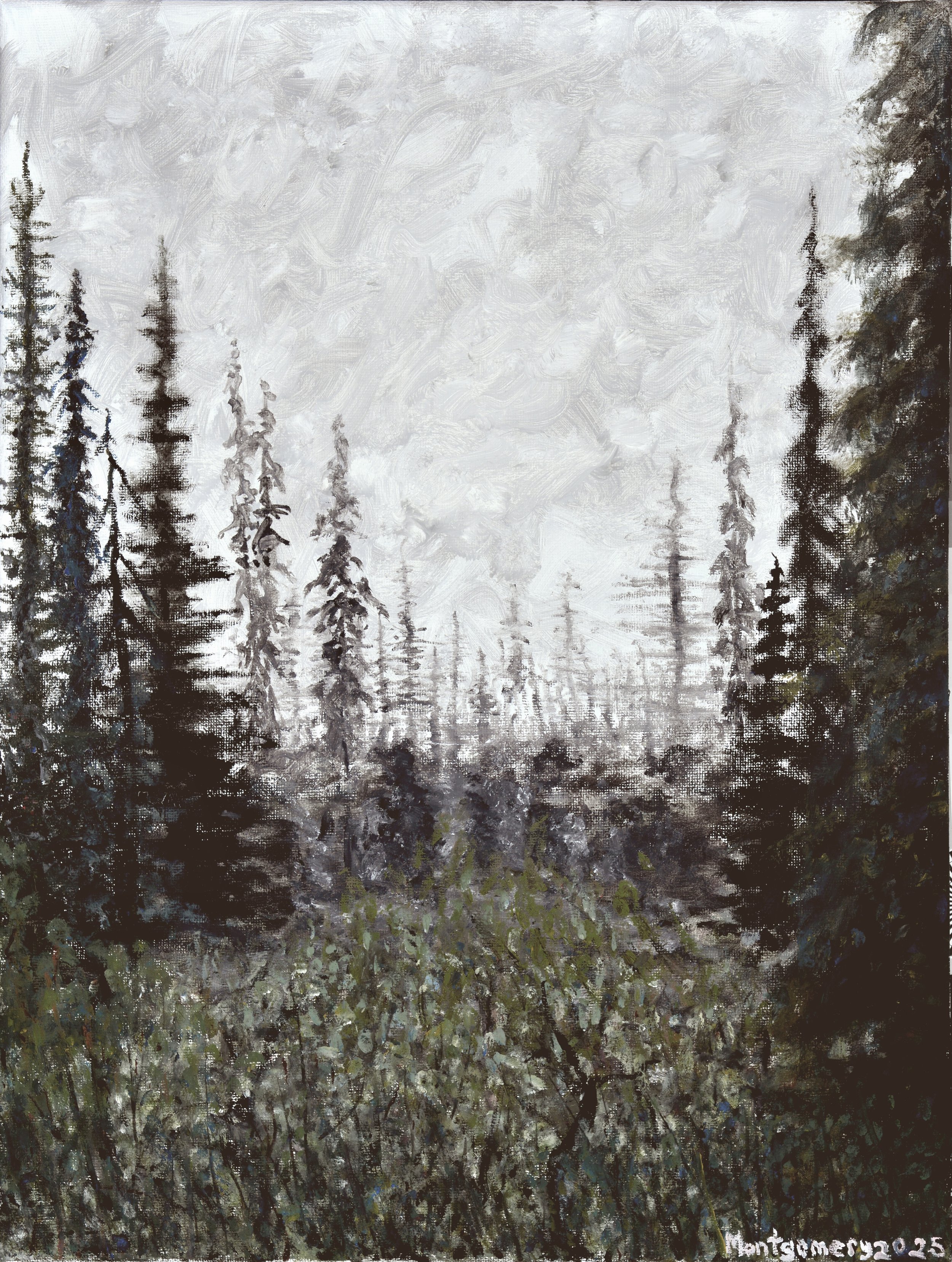 Mystic Forest - Print