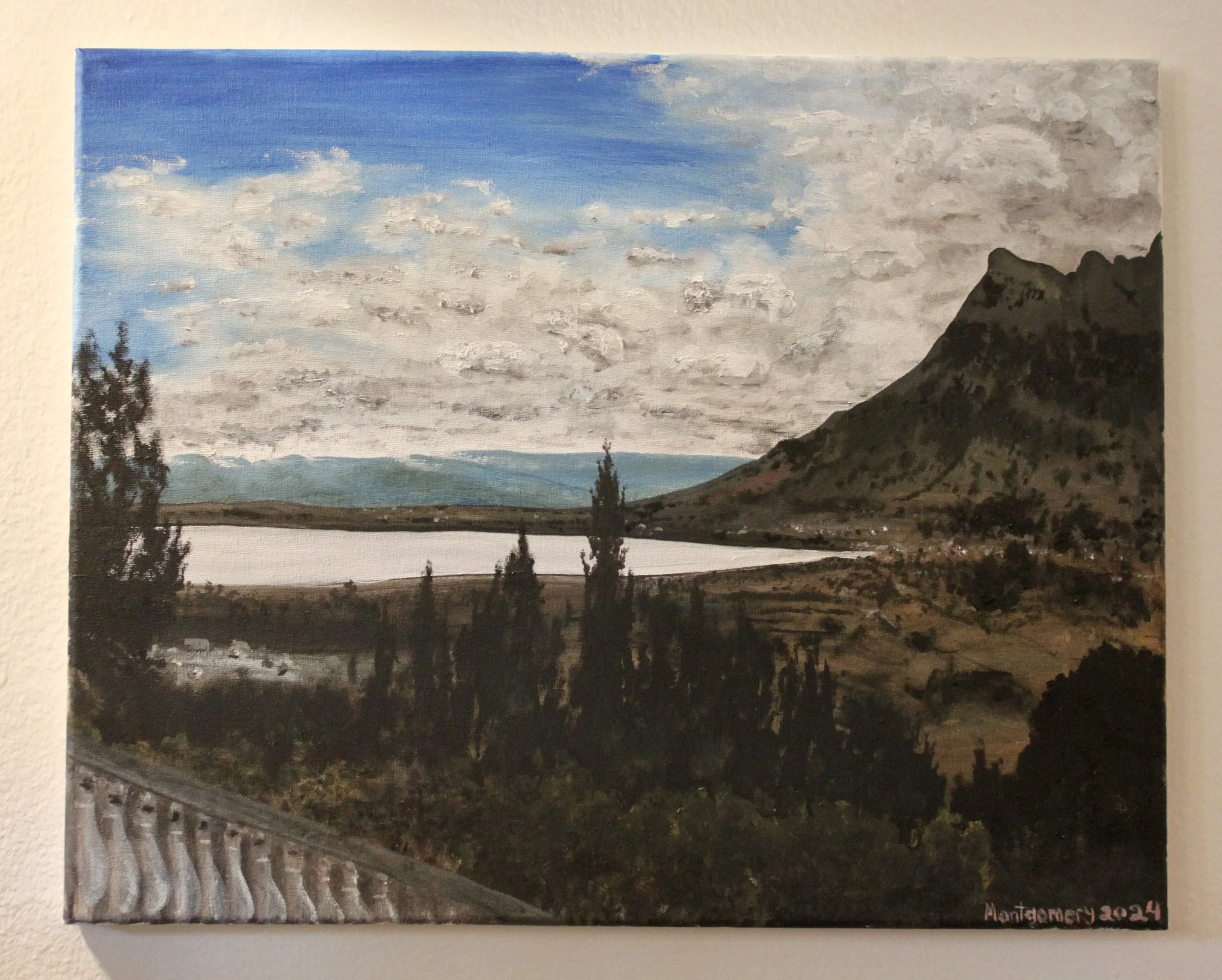 "The wonderlands of Imbabura"   :   Oil on canvas   :   20-by-16 inches   :   Completed in 2024