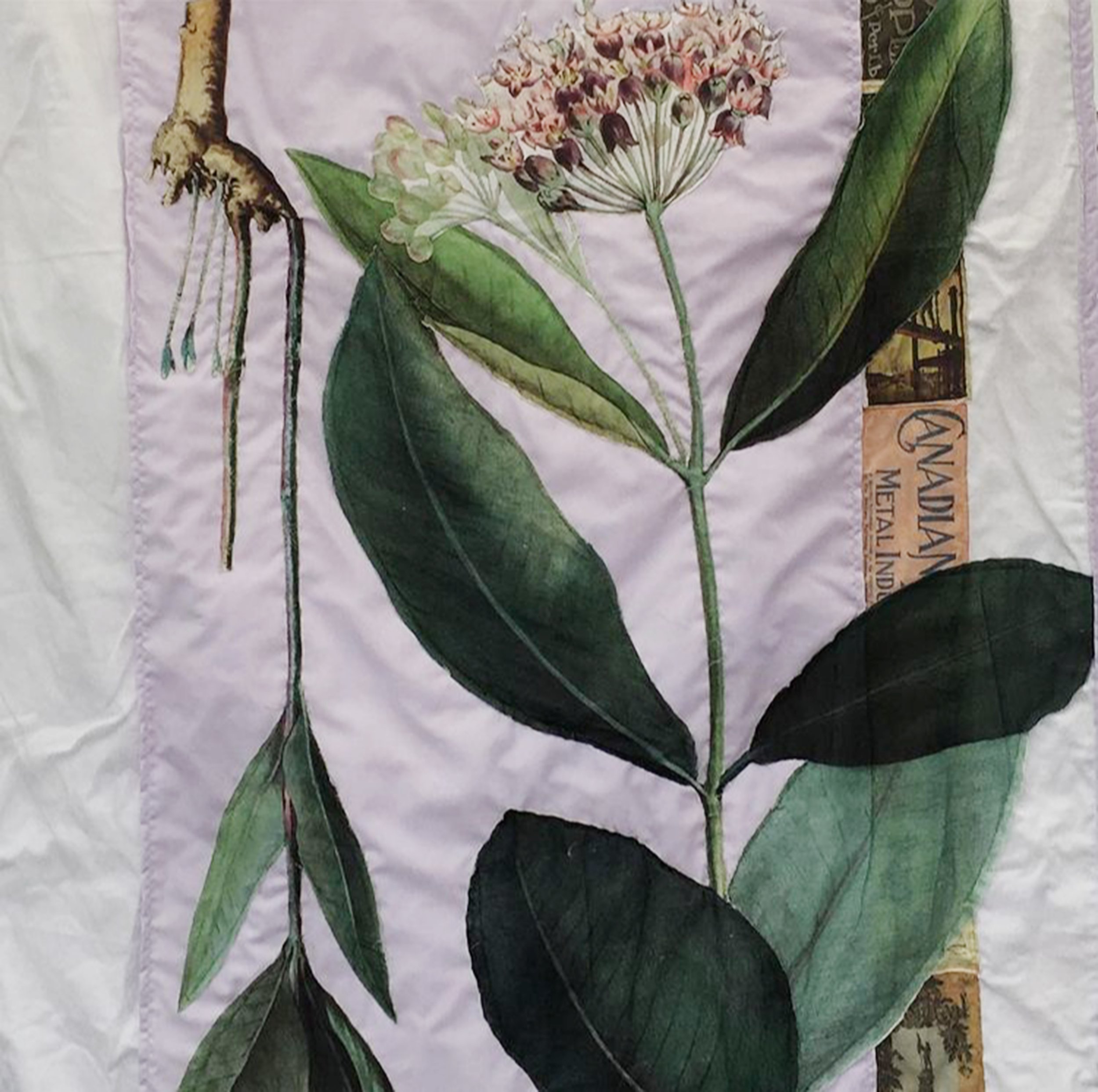 Quilt Asclepiade.jpg