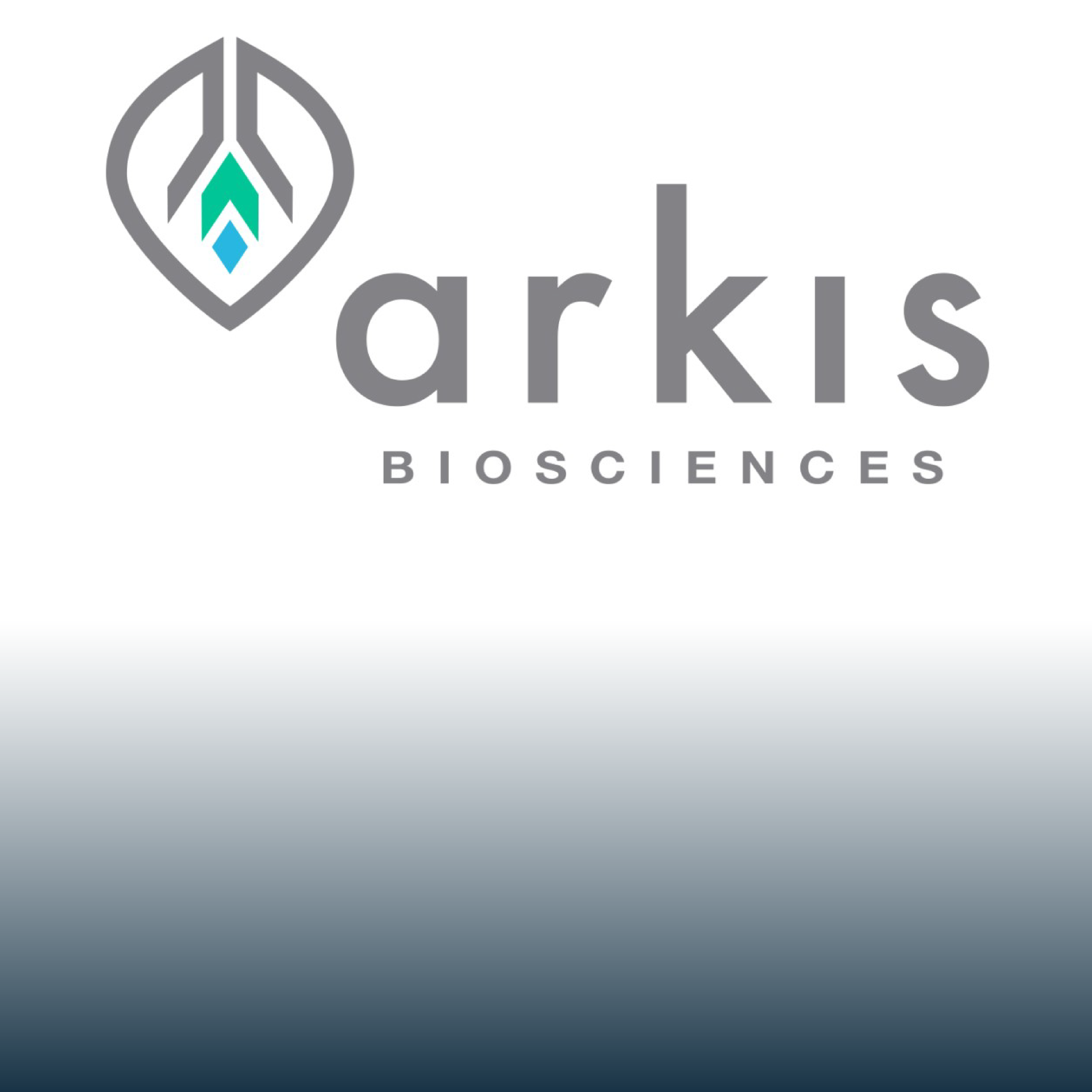 ARKIS Gradient.png