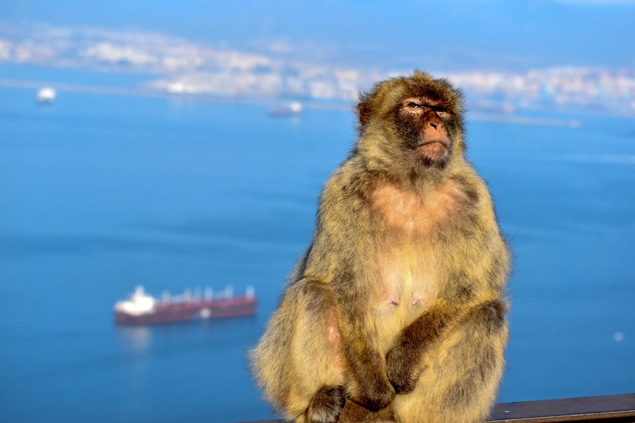 2023-07-04 02.06.36.jpg