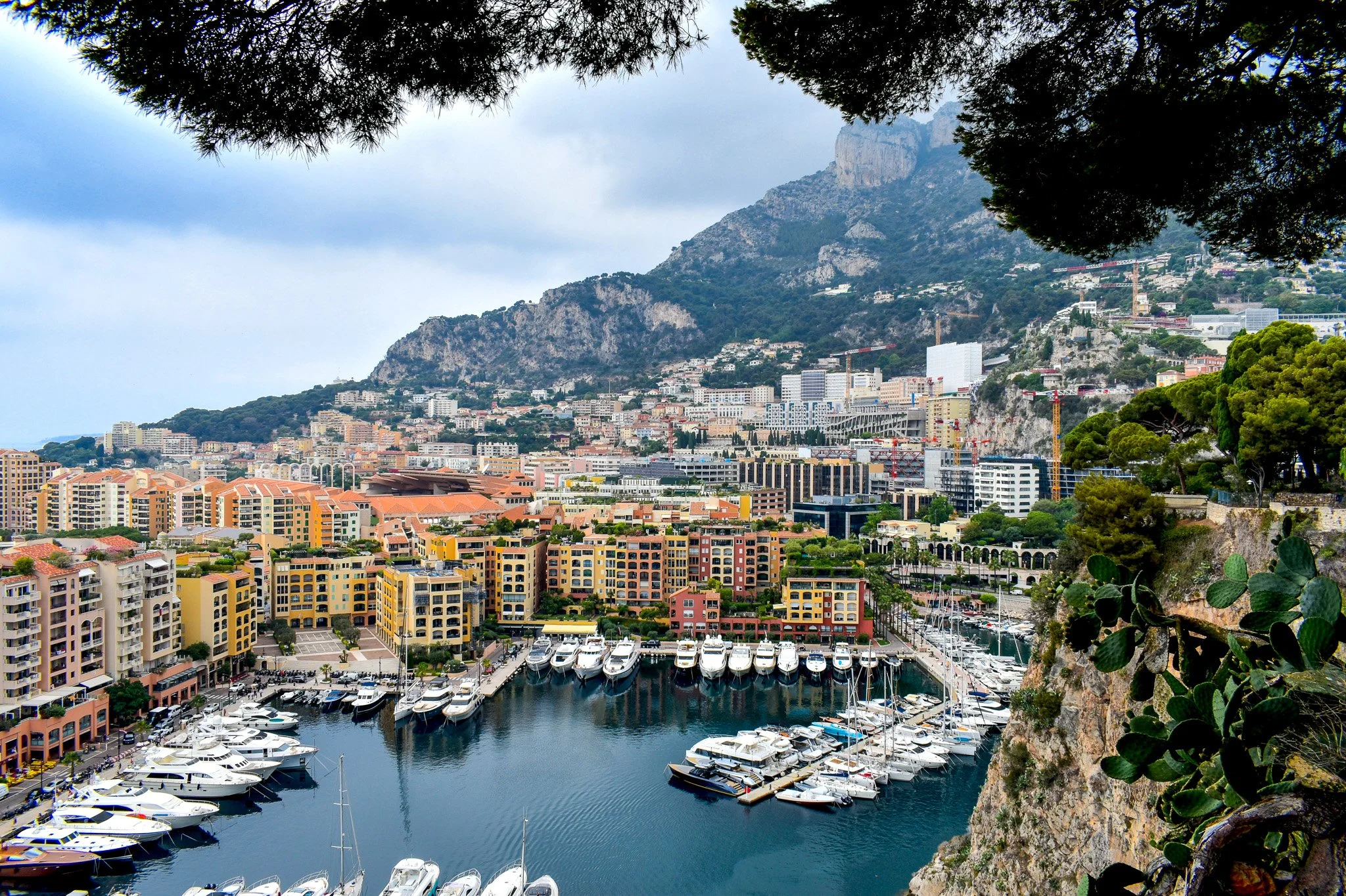 2023-06-29 05.05.58.jpg