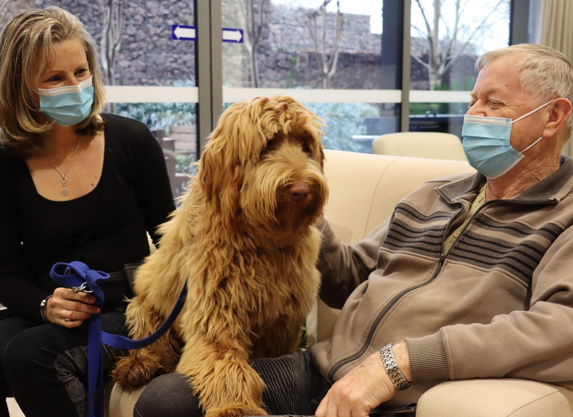 A Pooch with the Pawfect Touch