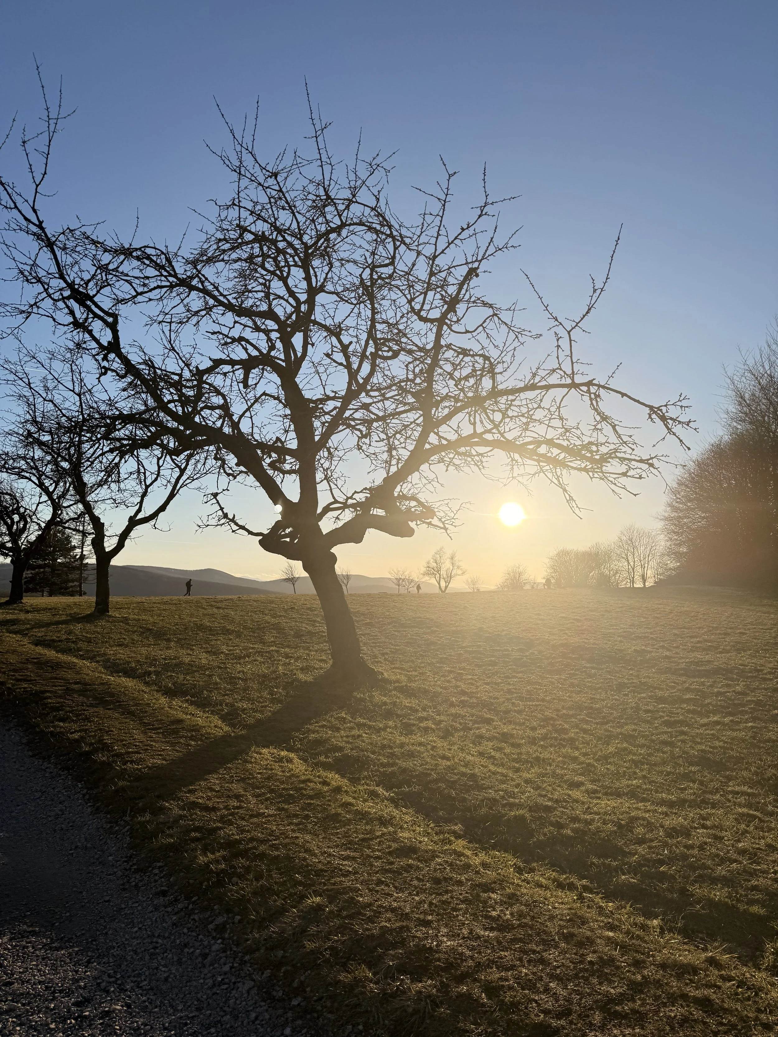 Eigenartig? Genau mein Weg.