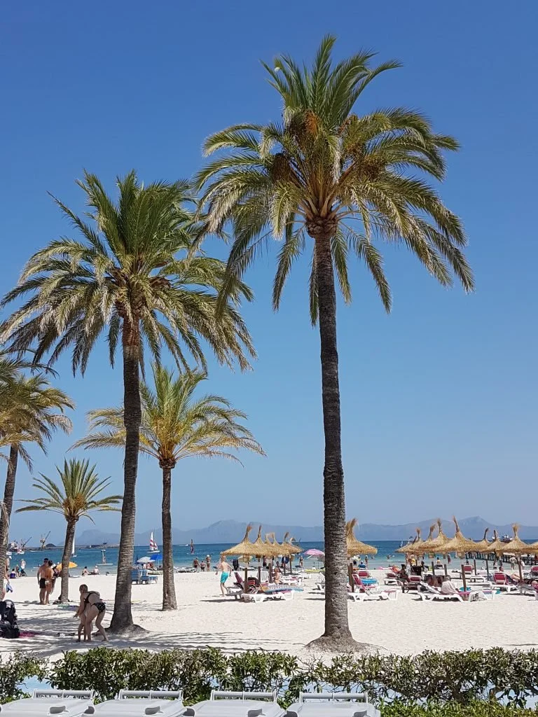 Hälsningar från Alcudia