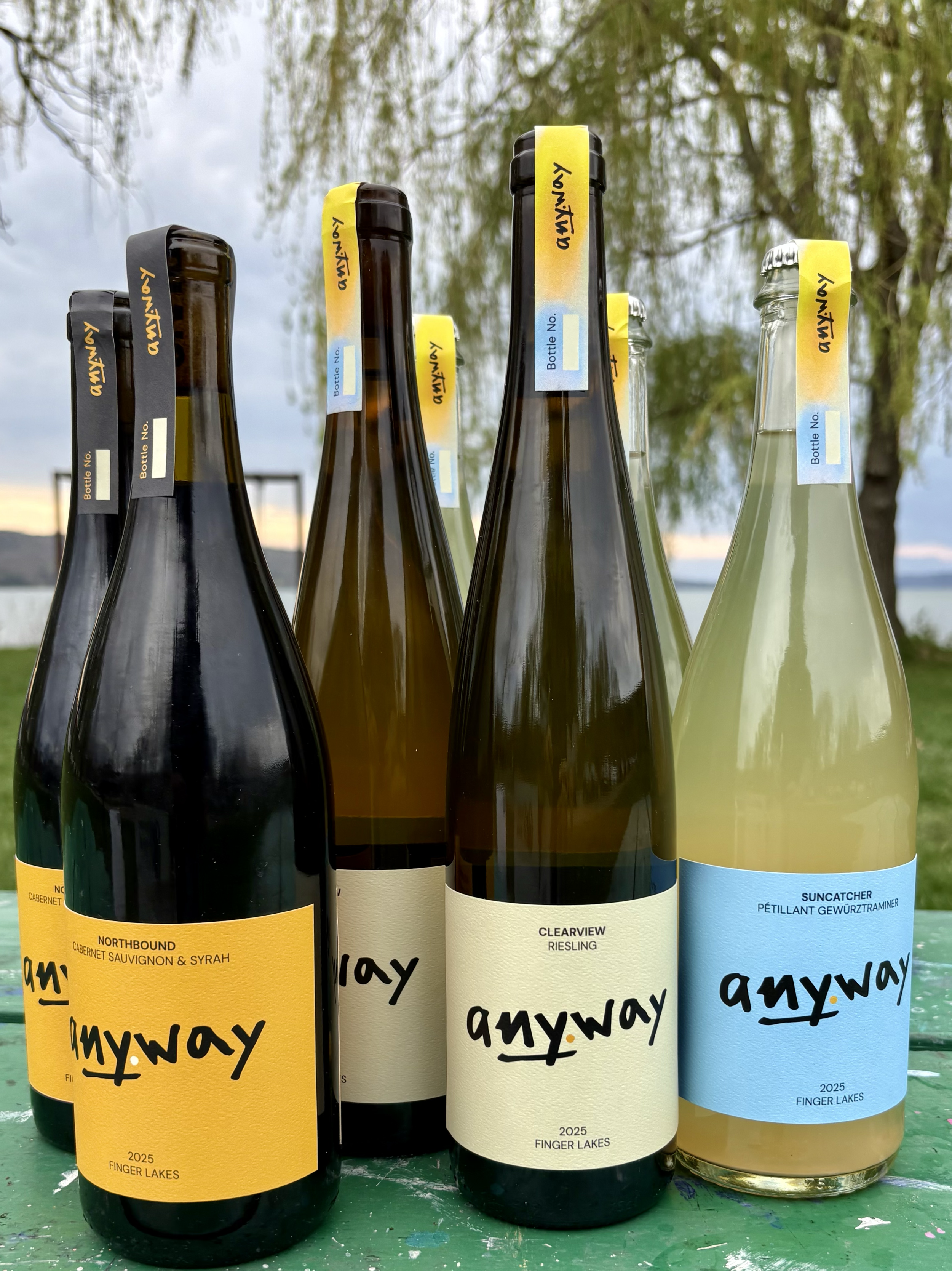 A collection of  wine bottles with colorful labels, standing on a green picnic table with trees and cloudy sky in the background. The labels indicate the 3 different types of wine from the 2025 vintage of Anyway Wine.