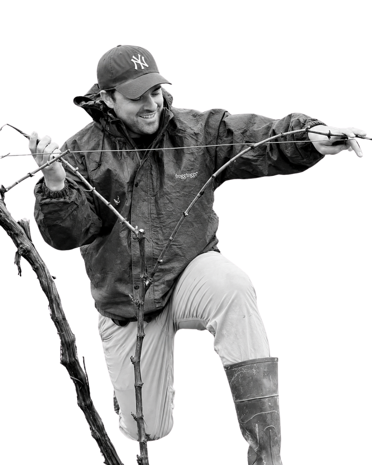 Photo of Ryan Fessenden in outdoor gear, including a New York Yankees baseball cap, a rain jacket, and rubber boots, is kneeling on one knee and repositioning a grapevine.