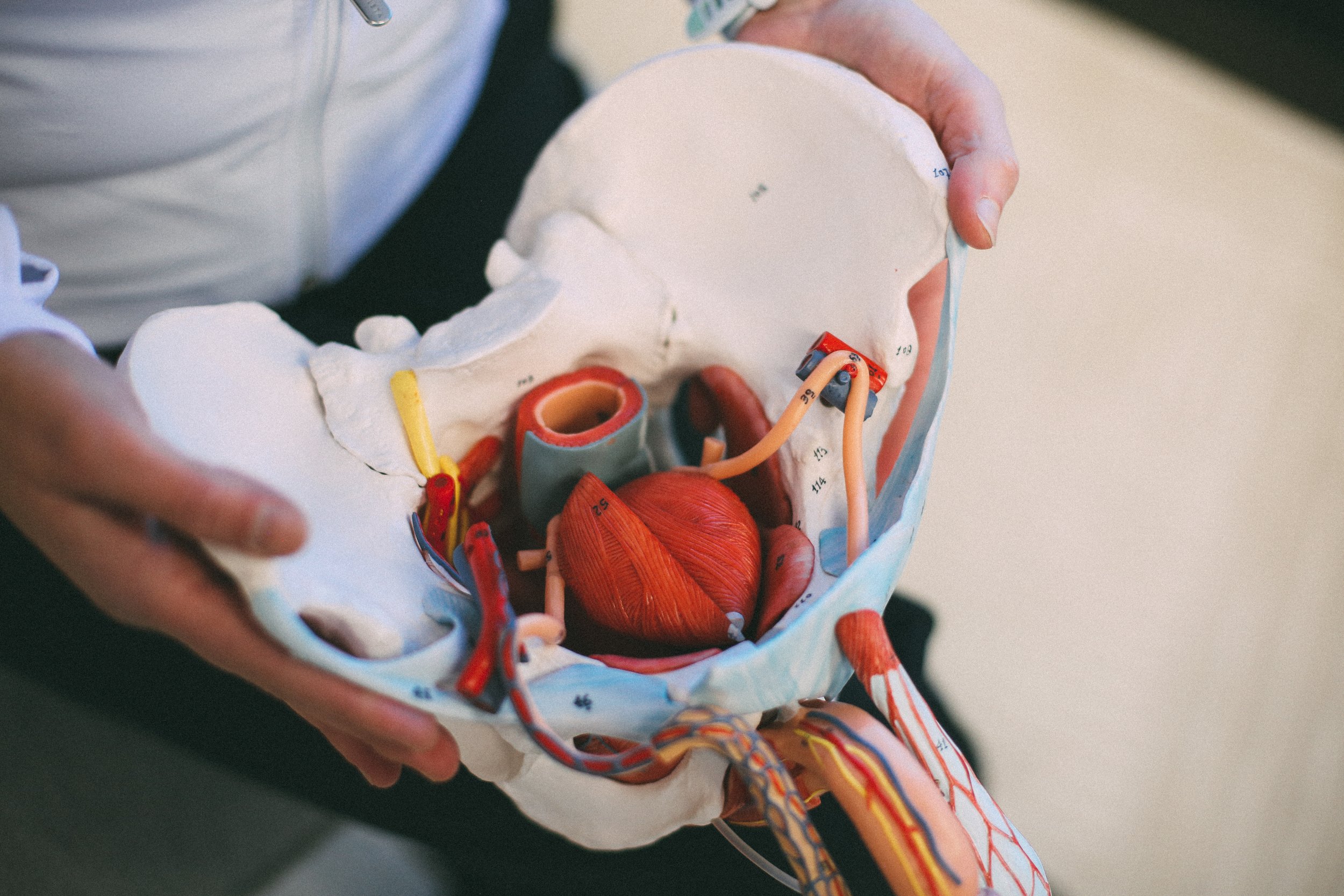 Pelvic Organ Prolapse: Symptoms, Causes, and Treatment Options Beyond Surgery