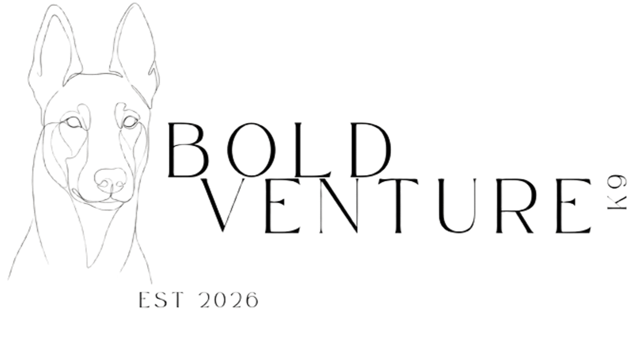 Bold Venture K9